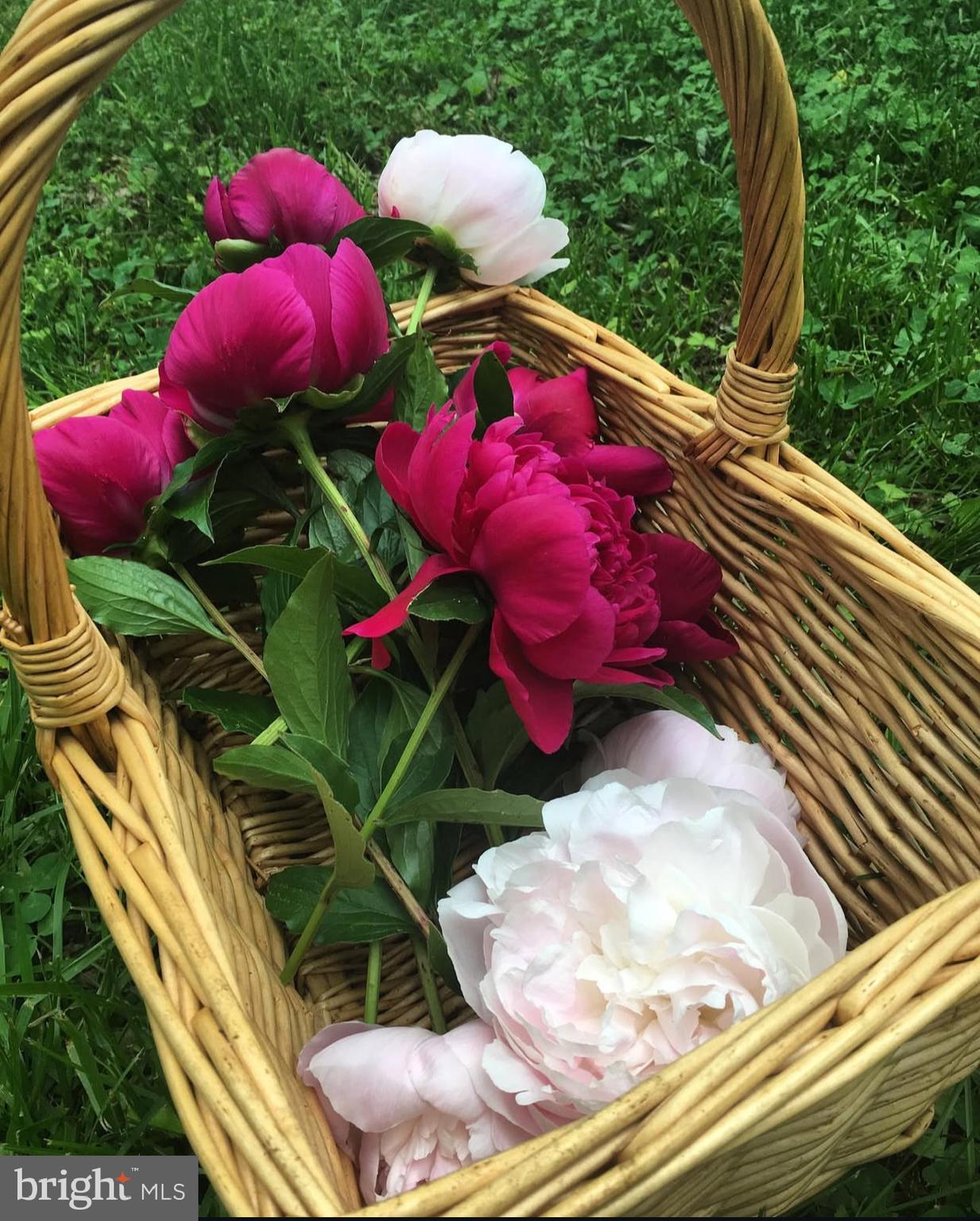 KING GEORGE COUNTY - Residential