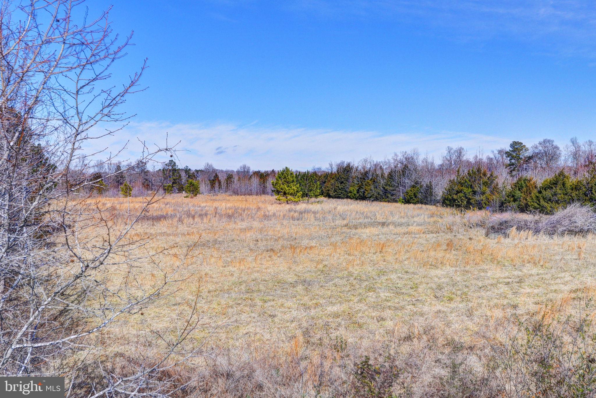 KING GEORGE COUNTY - Residential