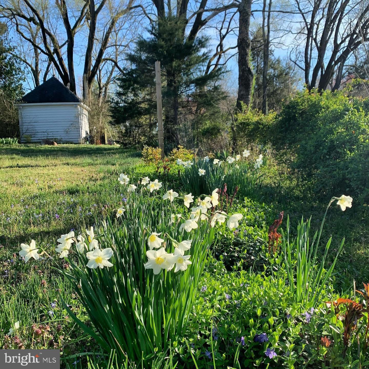 KING GEORGE COUNTY - Residential