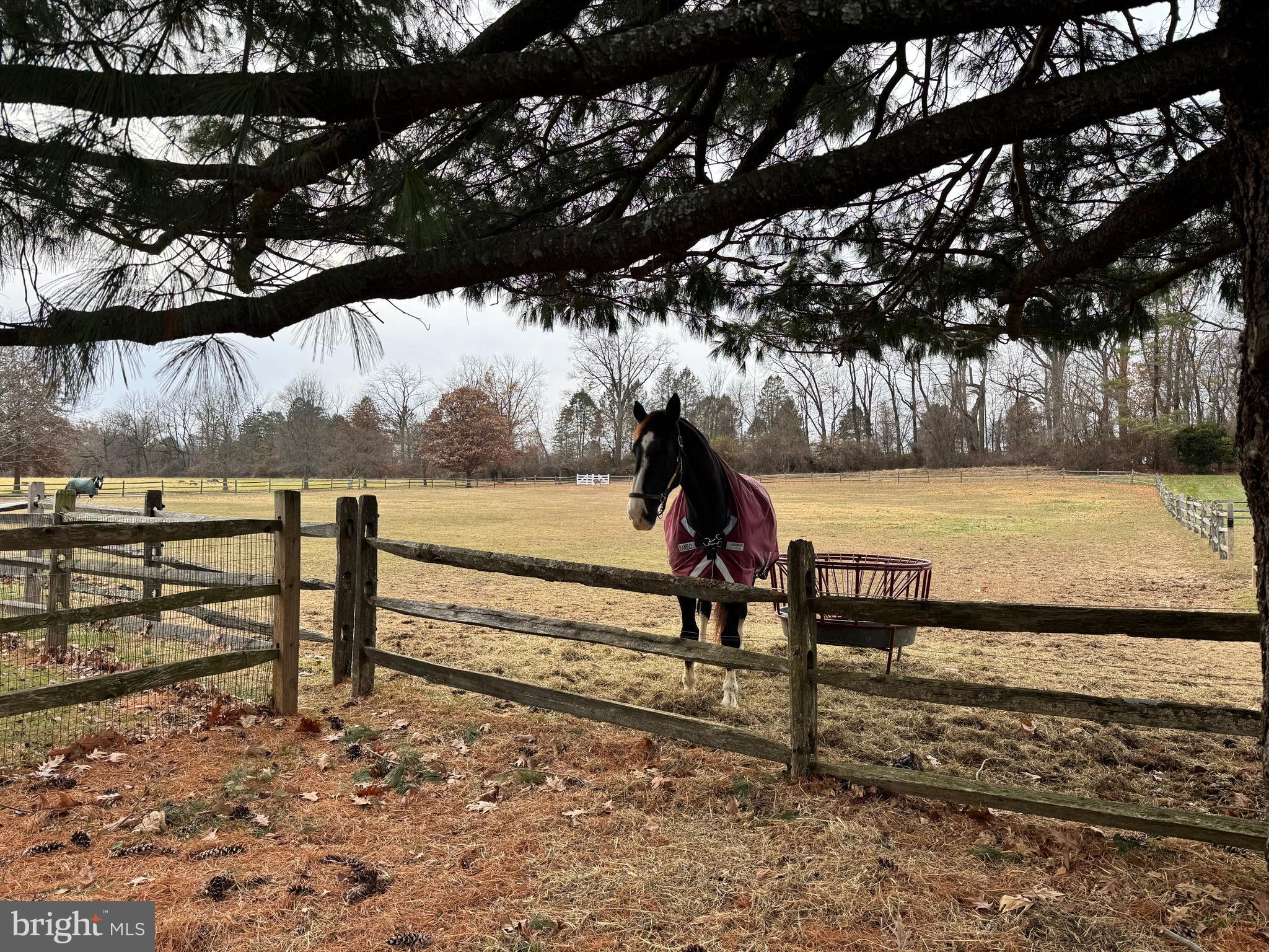 BLUE BELL - Residential Lease