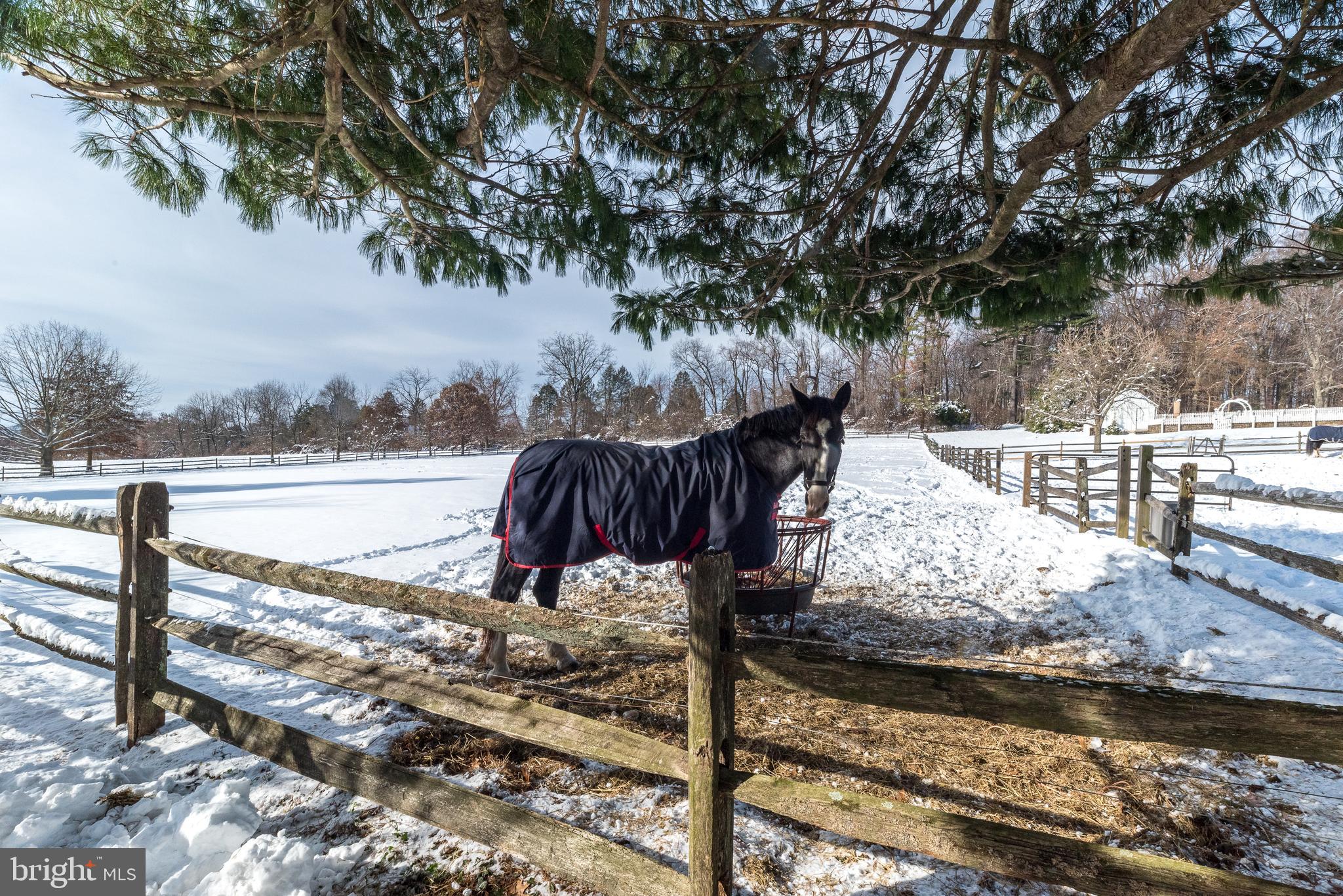 BLUE BELL - Residential Lease