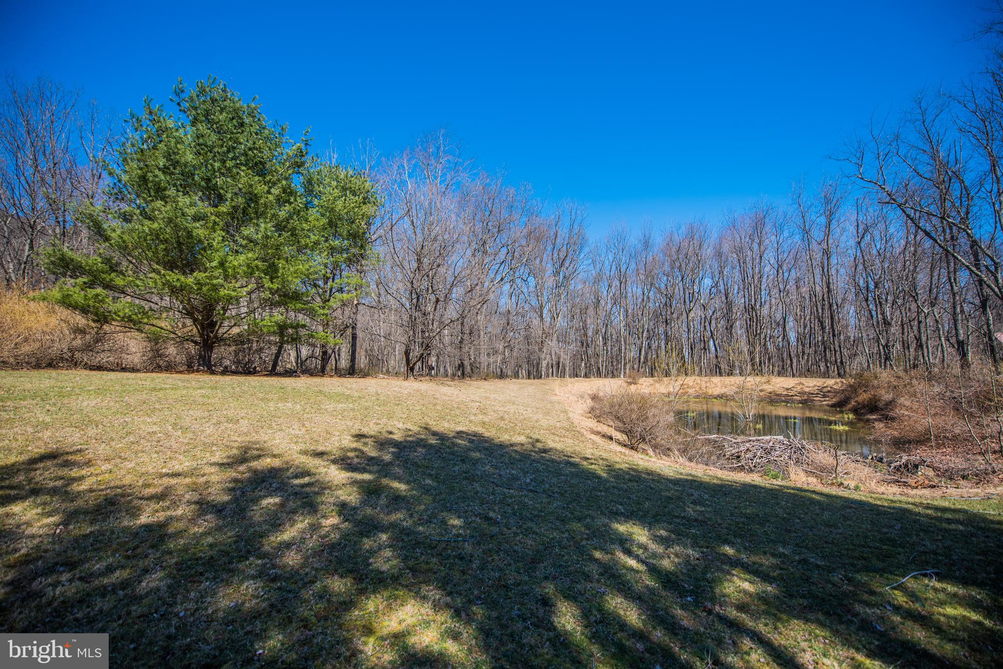 ROCK GAP WOODS - Residential