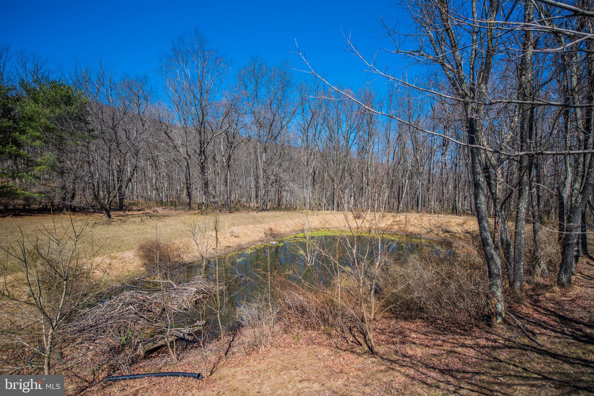 ROCK GAP WOODS - Residential