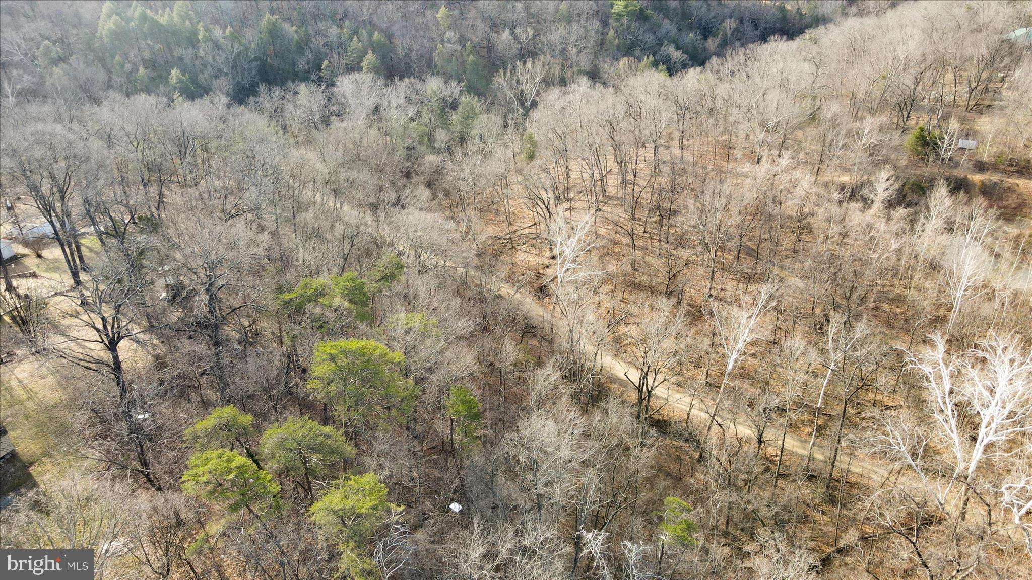 #11, 109 & 110 CAMP HILL LANE