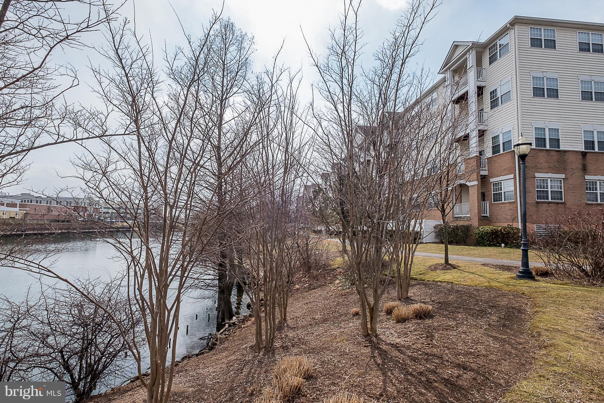 VILLAGE AT WAUGH CHAPEL - Residential