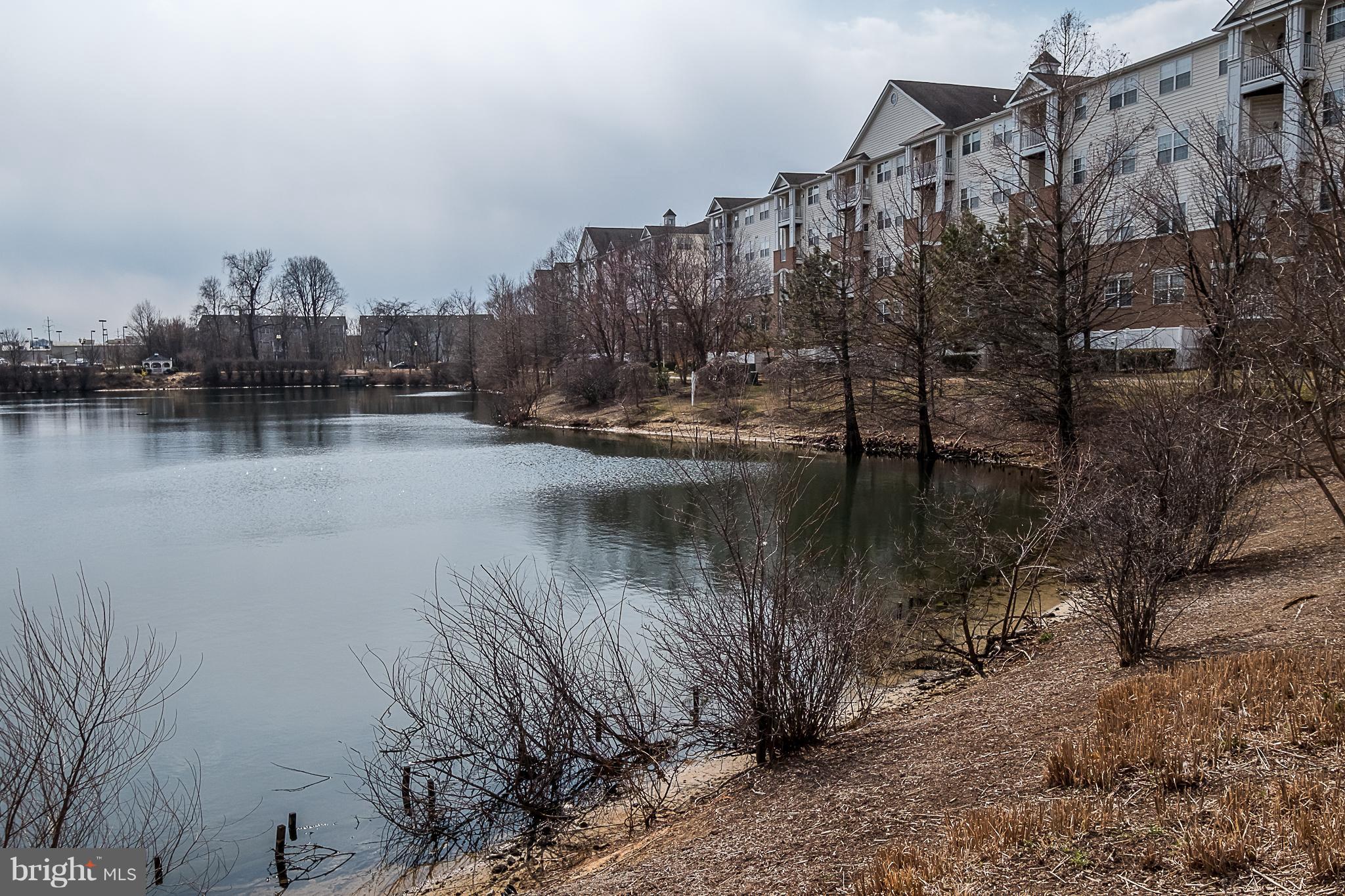 VILLAGE AT WAUGH CHAPEL - Residential