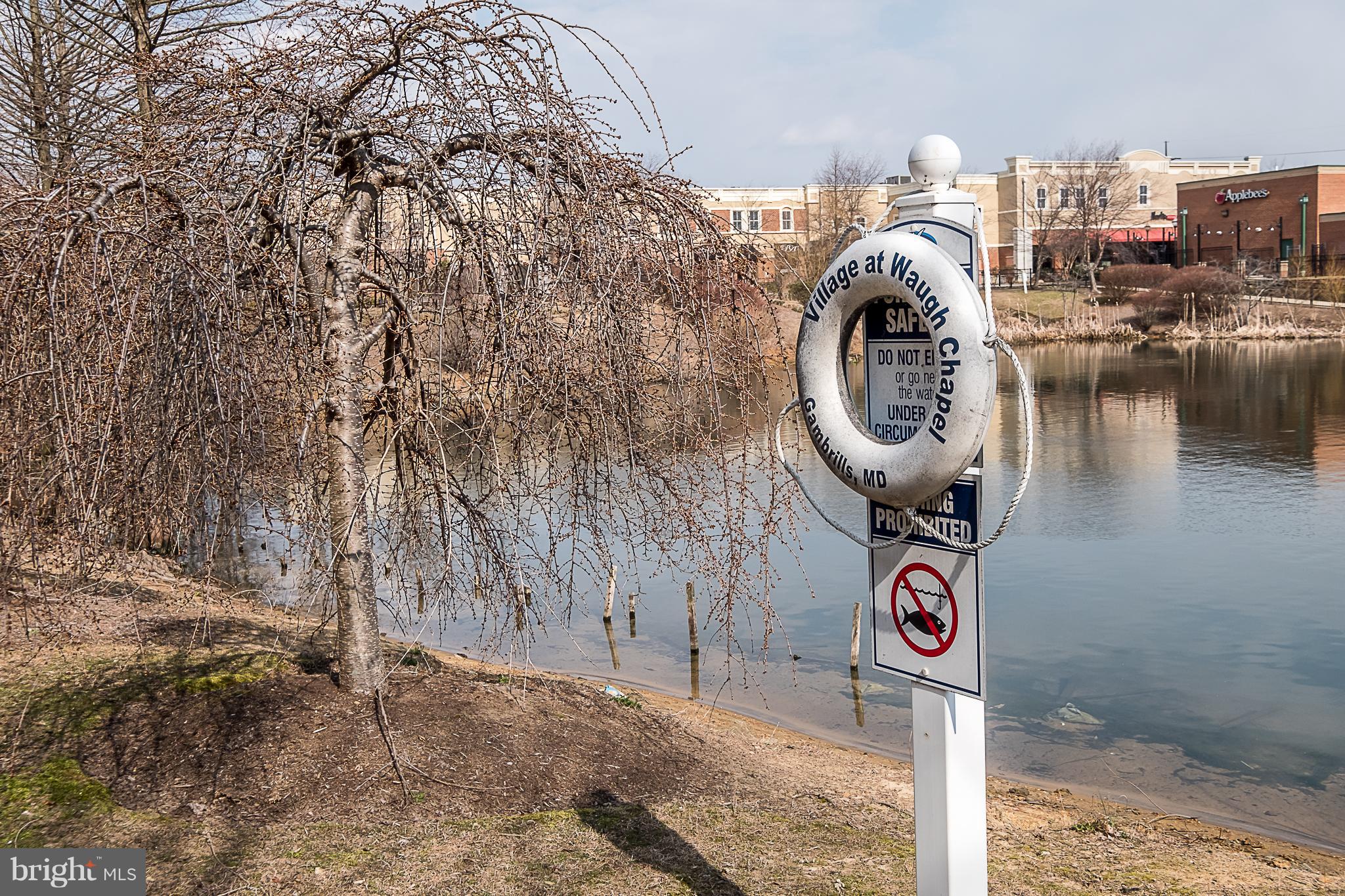 VILLAGE AT WAUGH CHAPEL - Residential