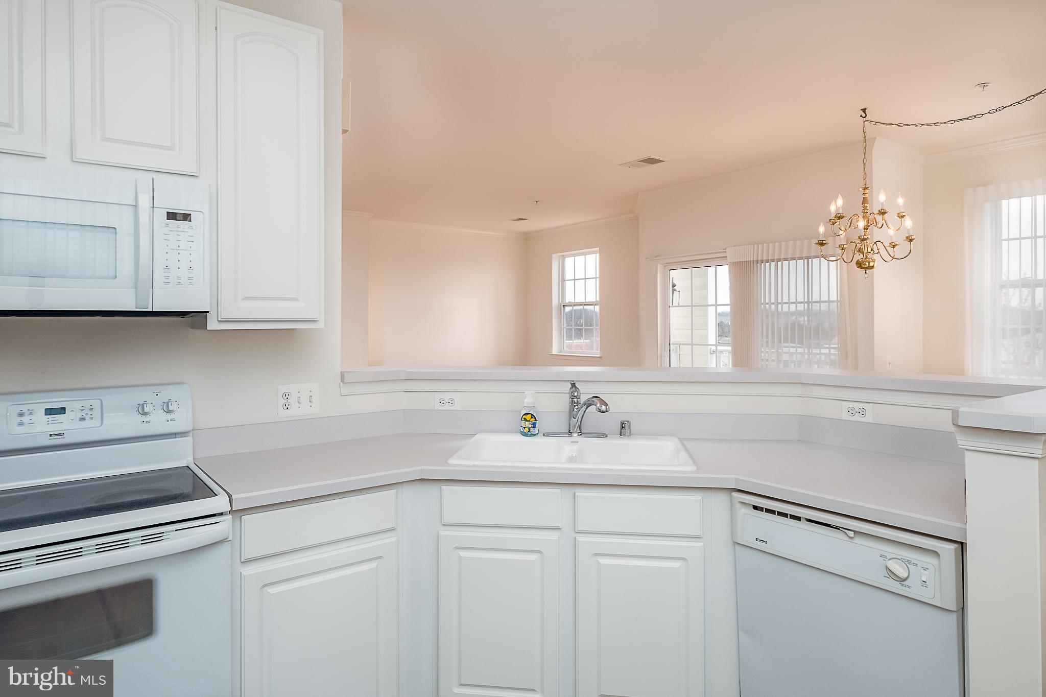 VILLAGE AT WAUGH CHAPEL - Residential