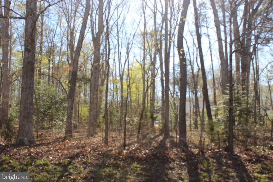4/2296 Level, wooded lot tucked away just off Captains Corridor and close to the amenities. Lot has water availability, 3BR Cert. Letter & Wetland Determination Study on file. Located in a highly sought-after area of Captains Cove. Buy now and build later, take advantage of this great buy! No time frame to build and no builder tie-in. Enjoy all the amenities and the lifestyle on the Eastern Shore of VA. Close to Chincoteague Island, Wallops Island and Ocean City MD. HOA Amenities: Pristine 9 Hole Golf Course, indoor/outdoor pools (2), fitness center, Basketball & Pickle-ball courts, boat ramp, docks, playground, biking & walking trails, picnic area, dog park security and so much more.