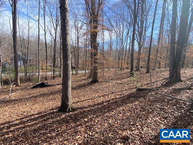 SHENANDOAH CROSSING - Land