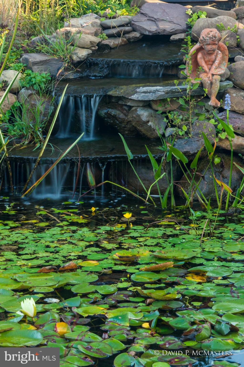 ORCHARD ON THE POTOMAC - Residential