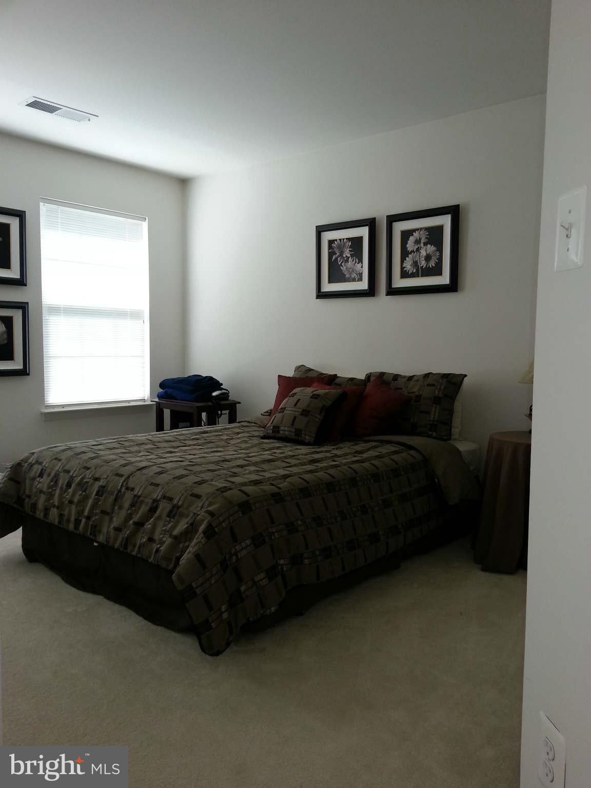 LANIER FARMS - Residential