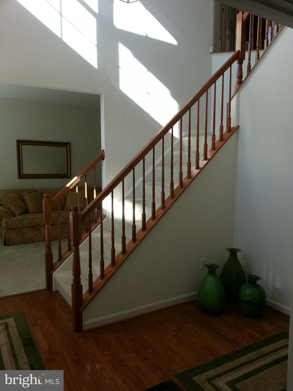 LANIER FARMS - Residential