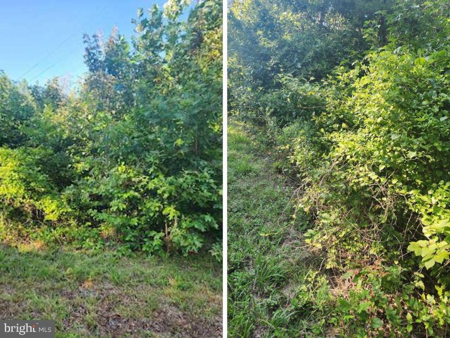 Build your dream home in Huntingtown. This property offers 13 acres. It has a Perc and is ready to be built on.  Check it out today!