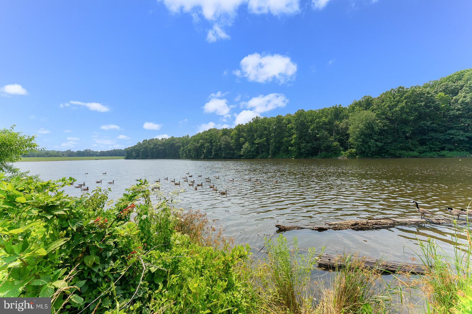 GLEN COVE - Residential Lease