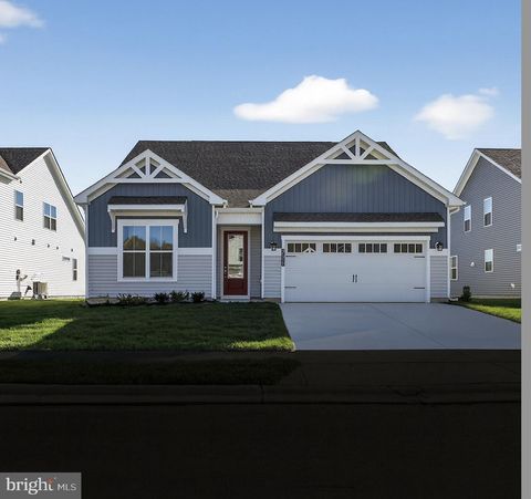 35321 STRAY DOE WAY SELBYVILLE DE 19975