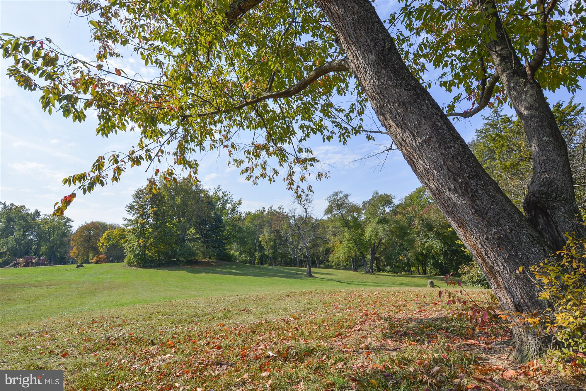 JEFFERSON MANOR - Residential Lease