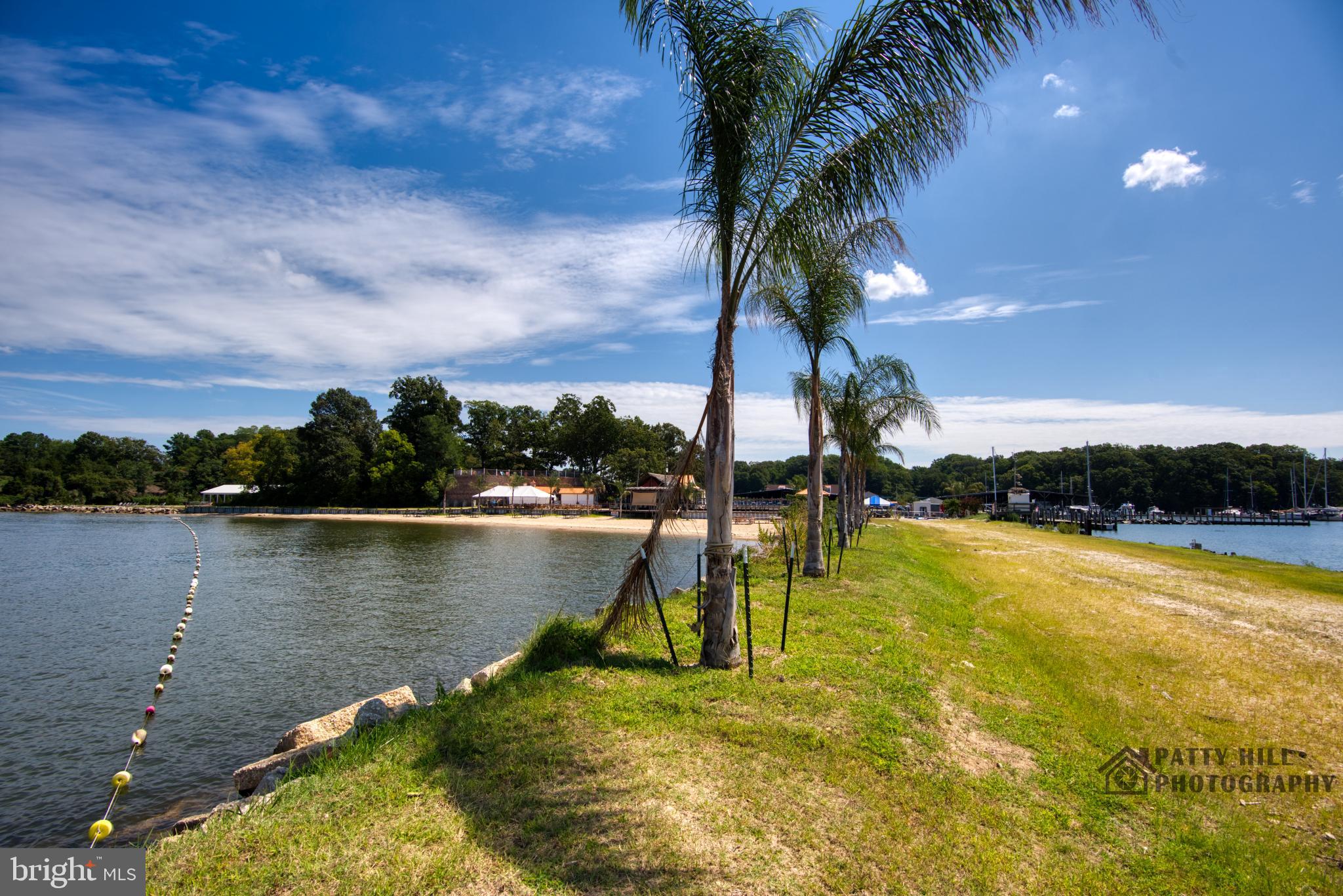 TOLCHESTER ESTATES - Land