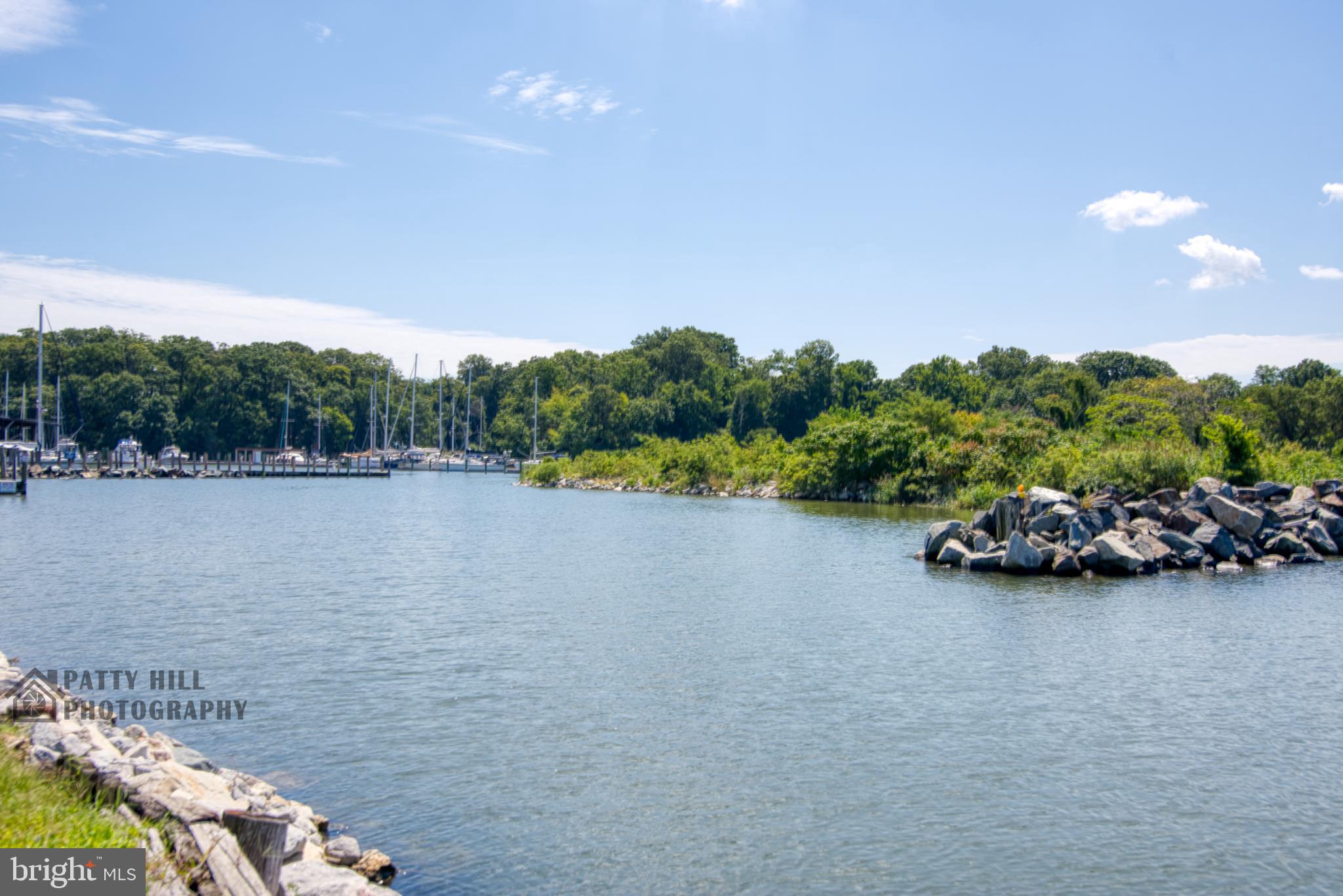 TOLCHESTER ESTATES - Land