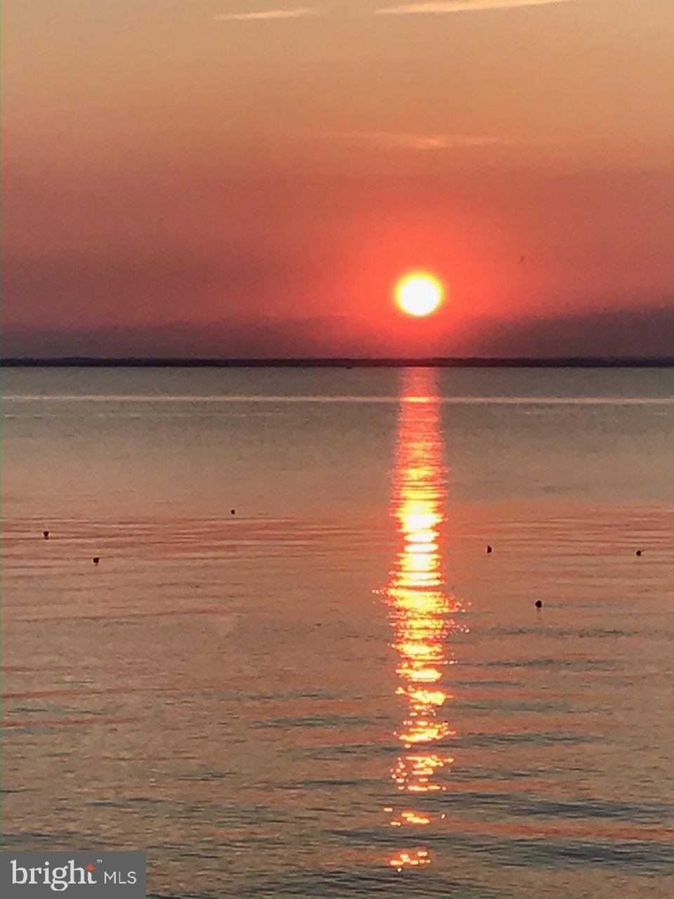 TOLCHESTER ESTATES - Land