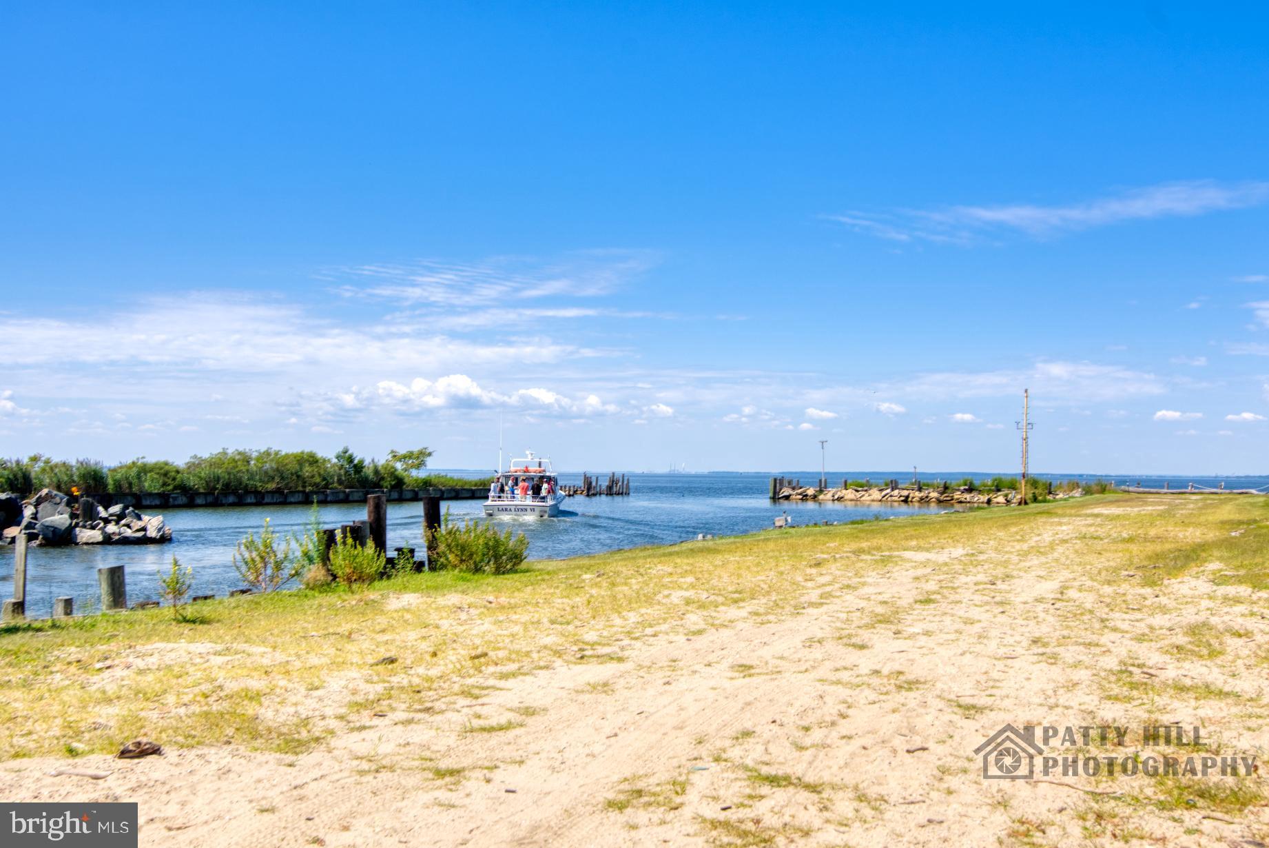 TOLCHESTER ESTATES - Land