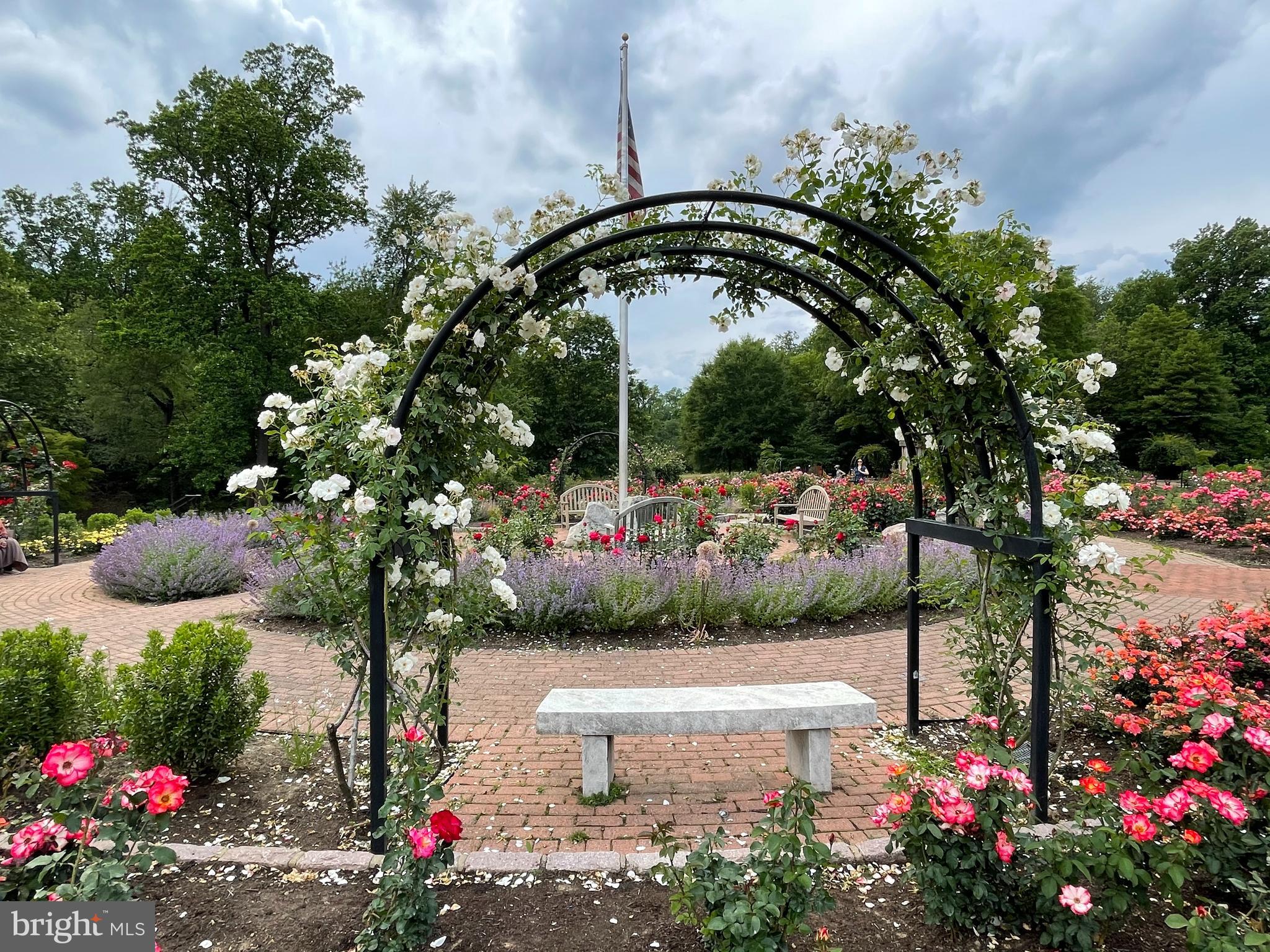 BROCKWOOD - Residential