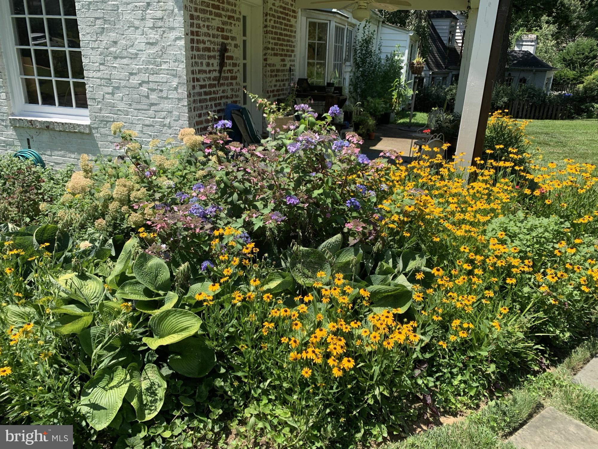 BROCKWOOD - Residential