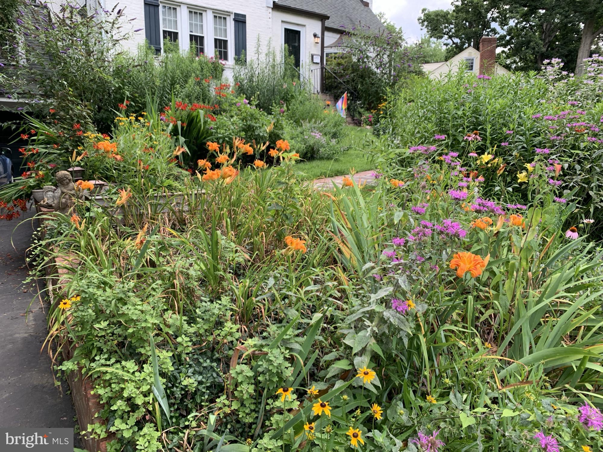 BROCKWOOD - Residential