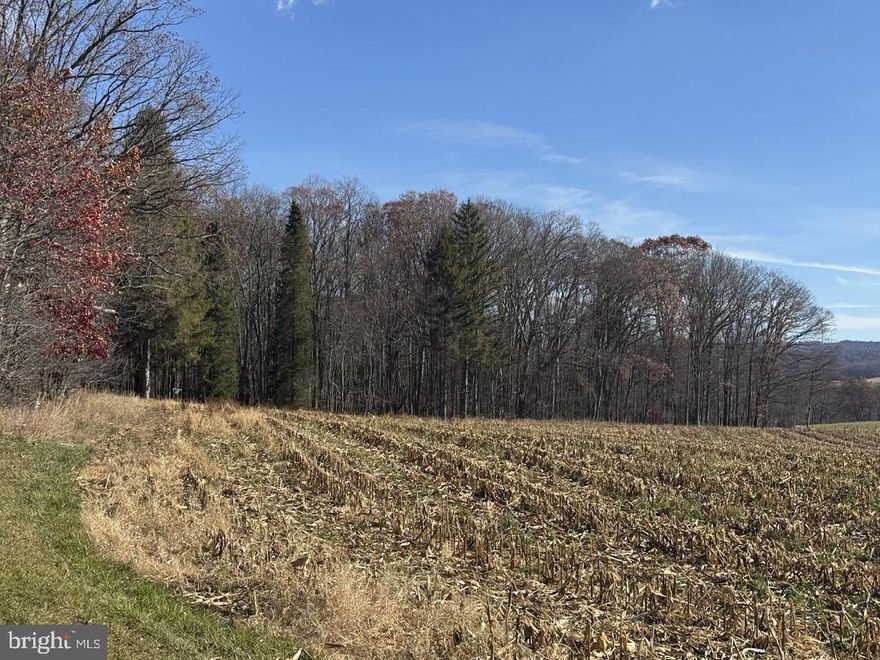 This is an estate listing. 
The parcel is 0.92 Acre that is wooded and vacant.
There is no record of a Perc test on file with the Garrett County Health Department.