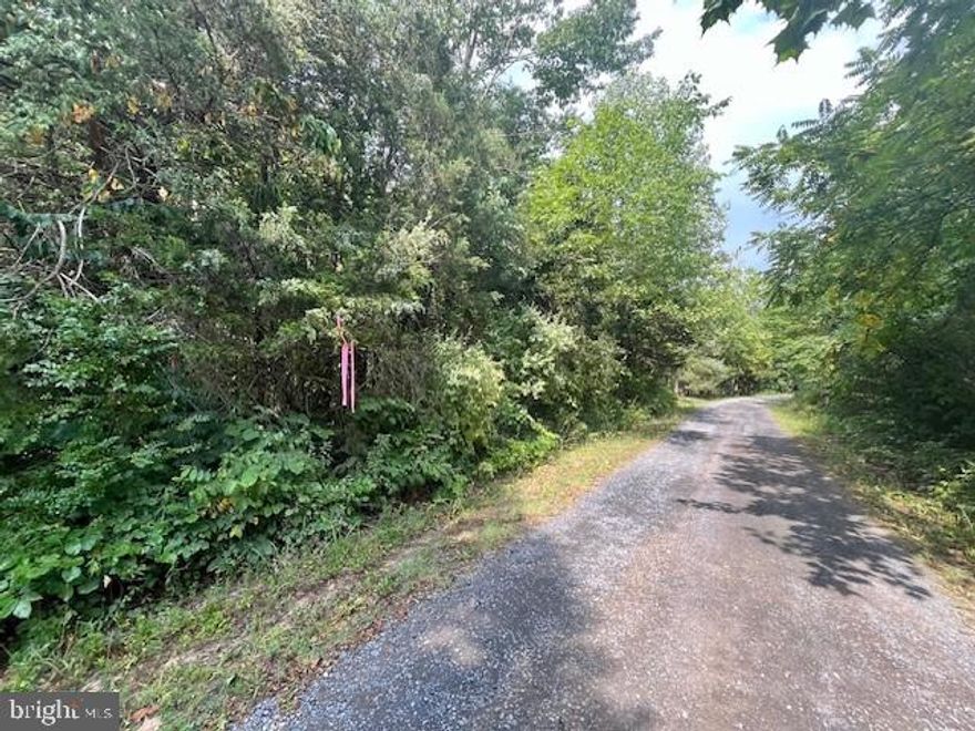 Large Level Lot! Located in land of Luray Subdivision! This lot is approx. 1.2 acres. Corners have been marked. Big Run stream runs through the property.  Get lot to come play Luray and all it has to offer! OWNER FINANCING AVAILABLE!!
Adjacent Lot A26 available!  VAPA2004016. Owner financing terms apply!