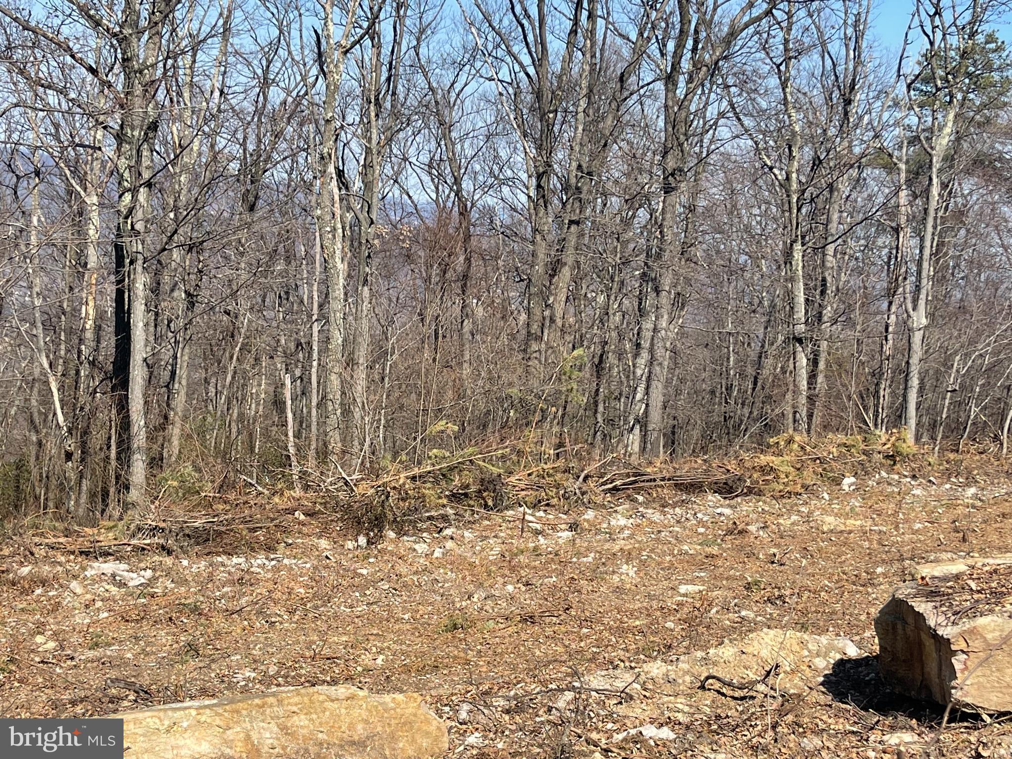 CACAPON MOUNTAIN RECREATIONAL AREA - Land