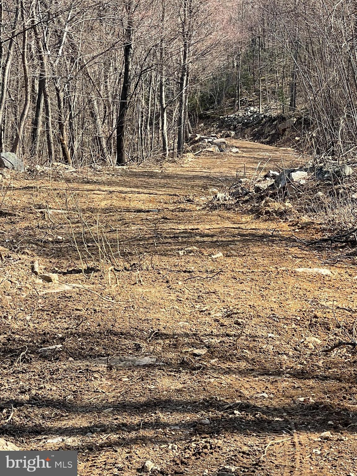 CACAPON MOUNTAIN RECREATIONAL AREA - Land