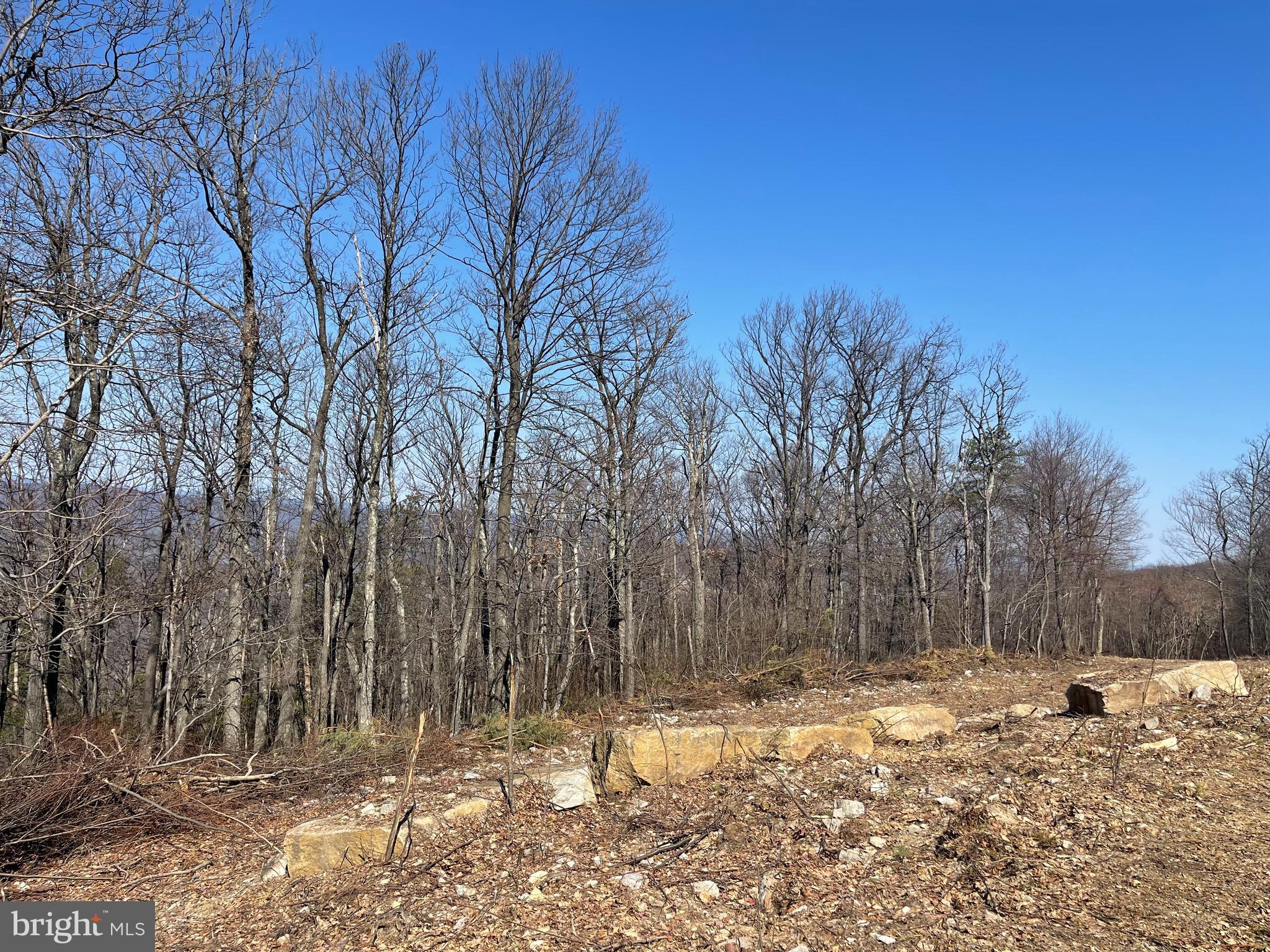 CACAPON MOUNTAIN RECREATIONAL AREA - Land