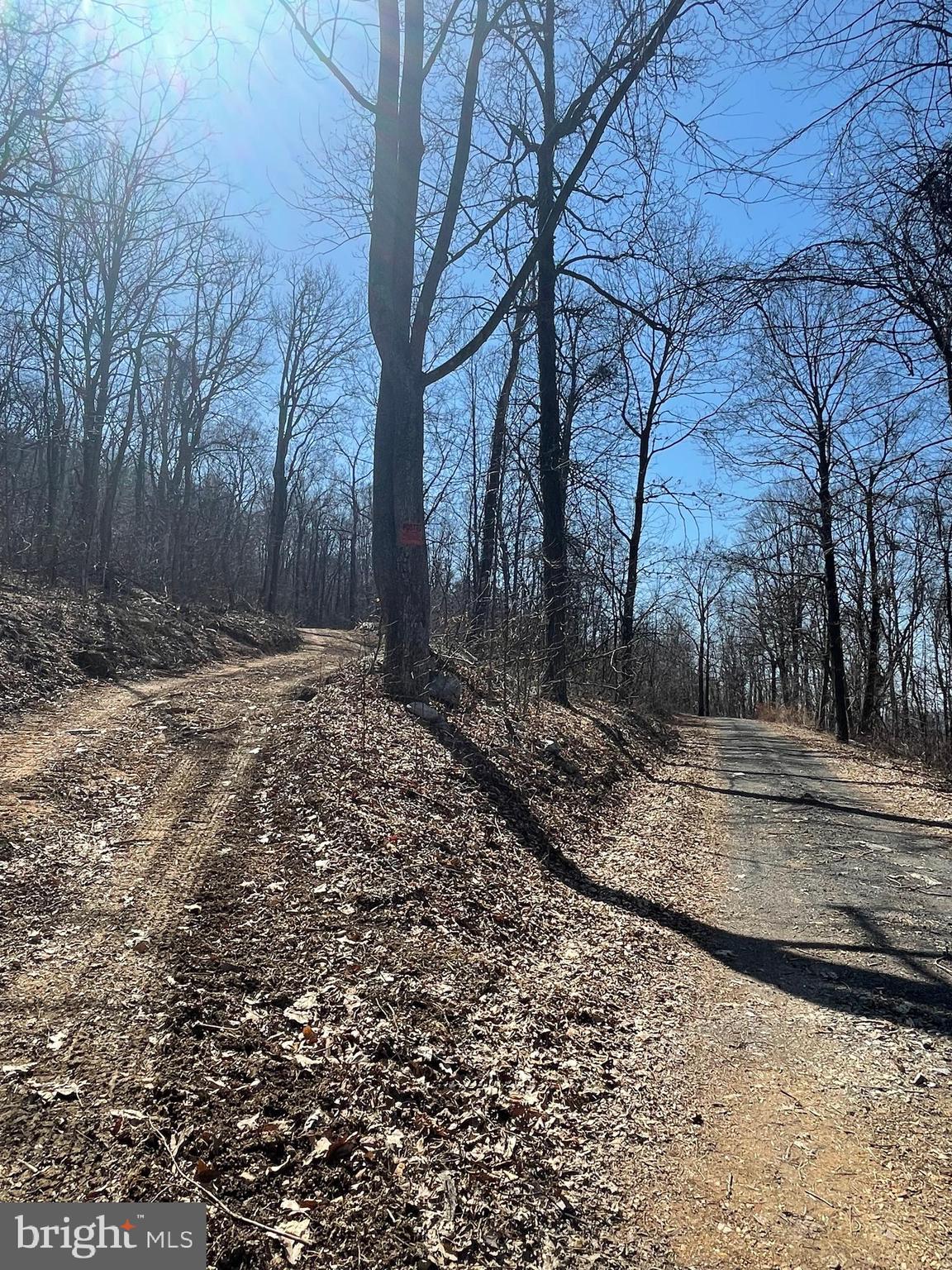 CACAPON MOUNTAIN RECREATIONAL AREA - Land