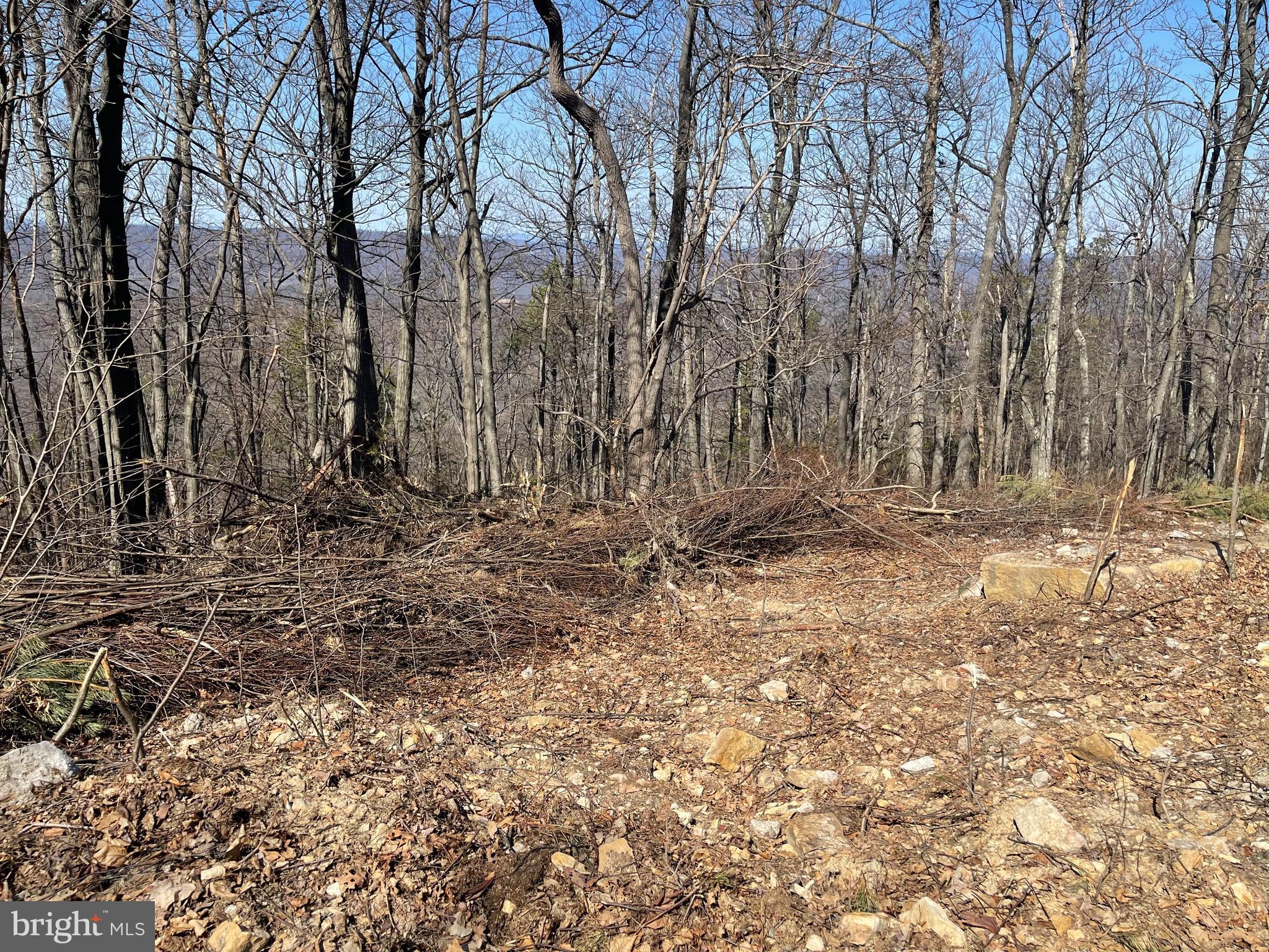 CACAPON MOUNTAIN RECREATIONAL AREA - Land
