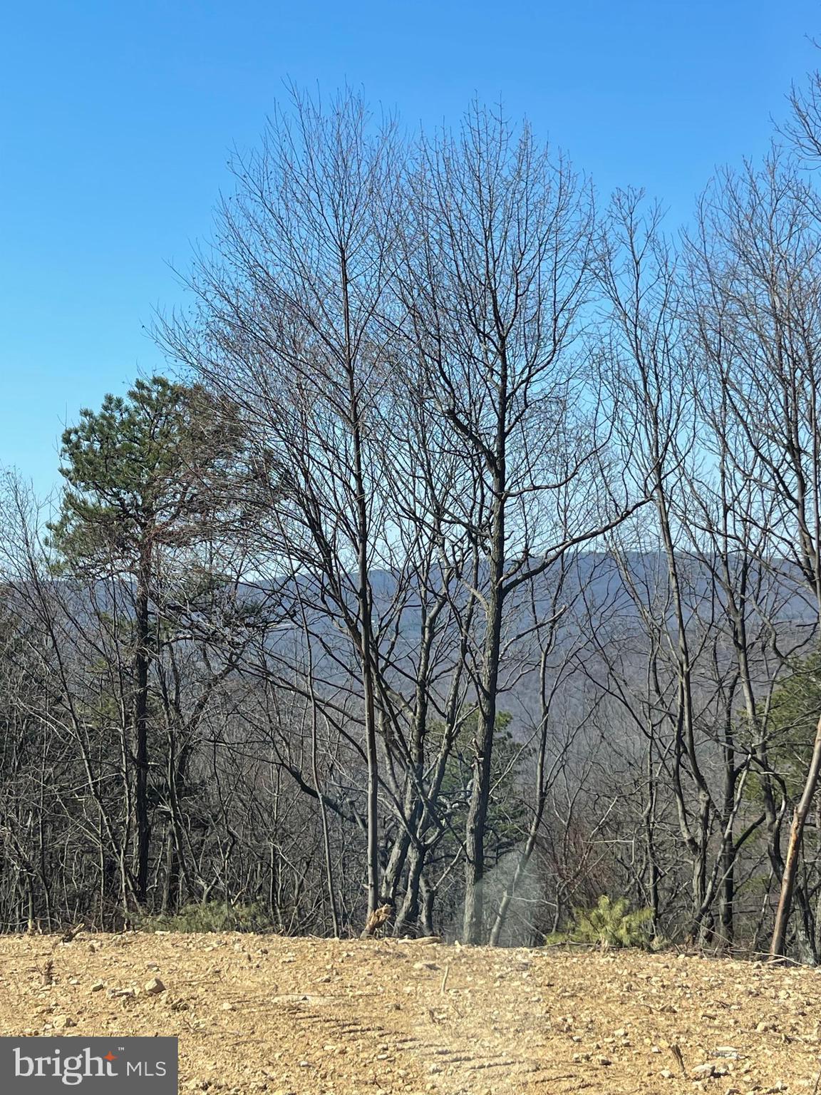 CACAPON MOUNTAIN RECREATIONAL AREA - Land