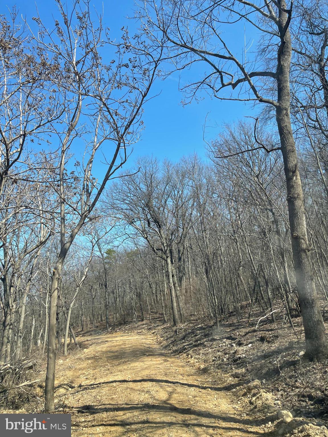 CACAPON MOUNTAIN RECREATIONAL AREA - Land