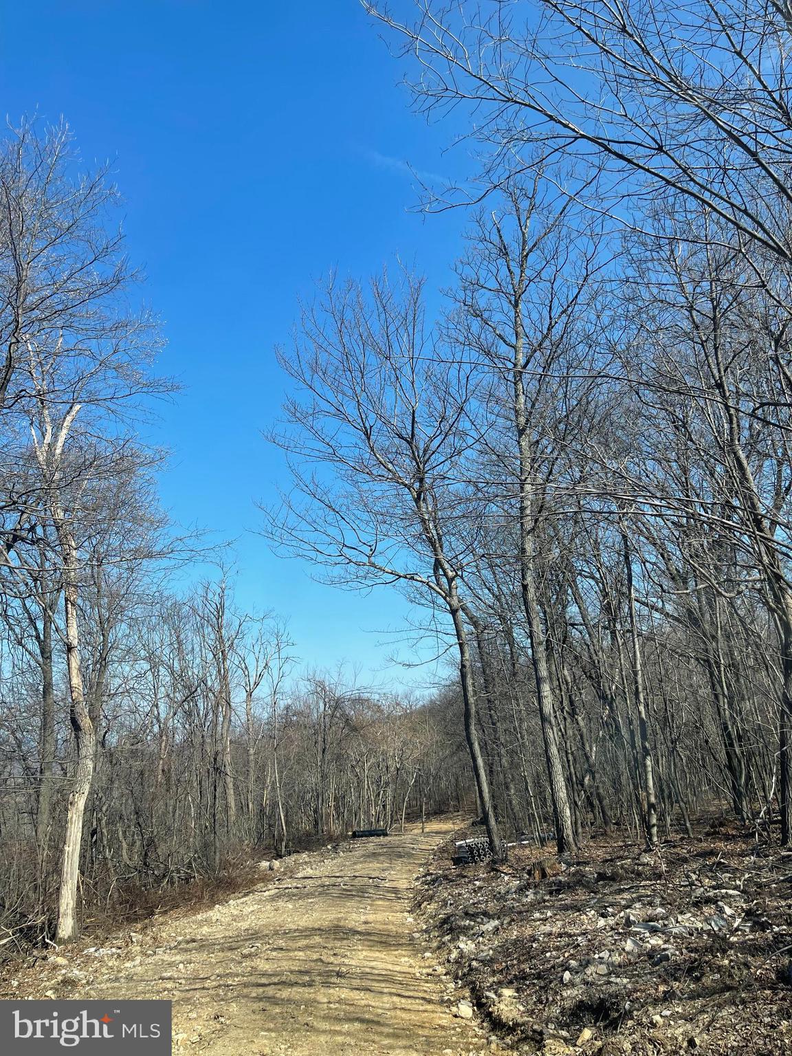 CACAPON MOUNTAIN RECREATIONAL AREA - Land