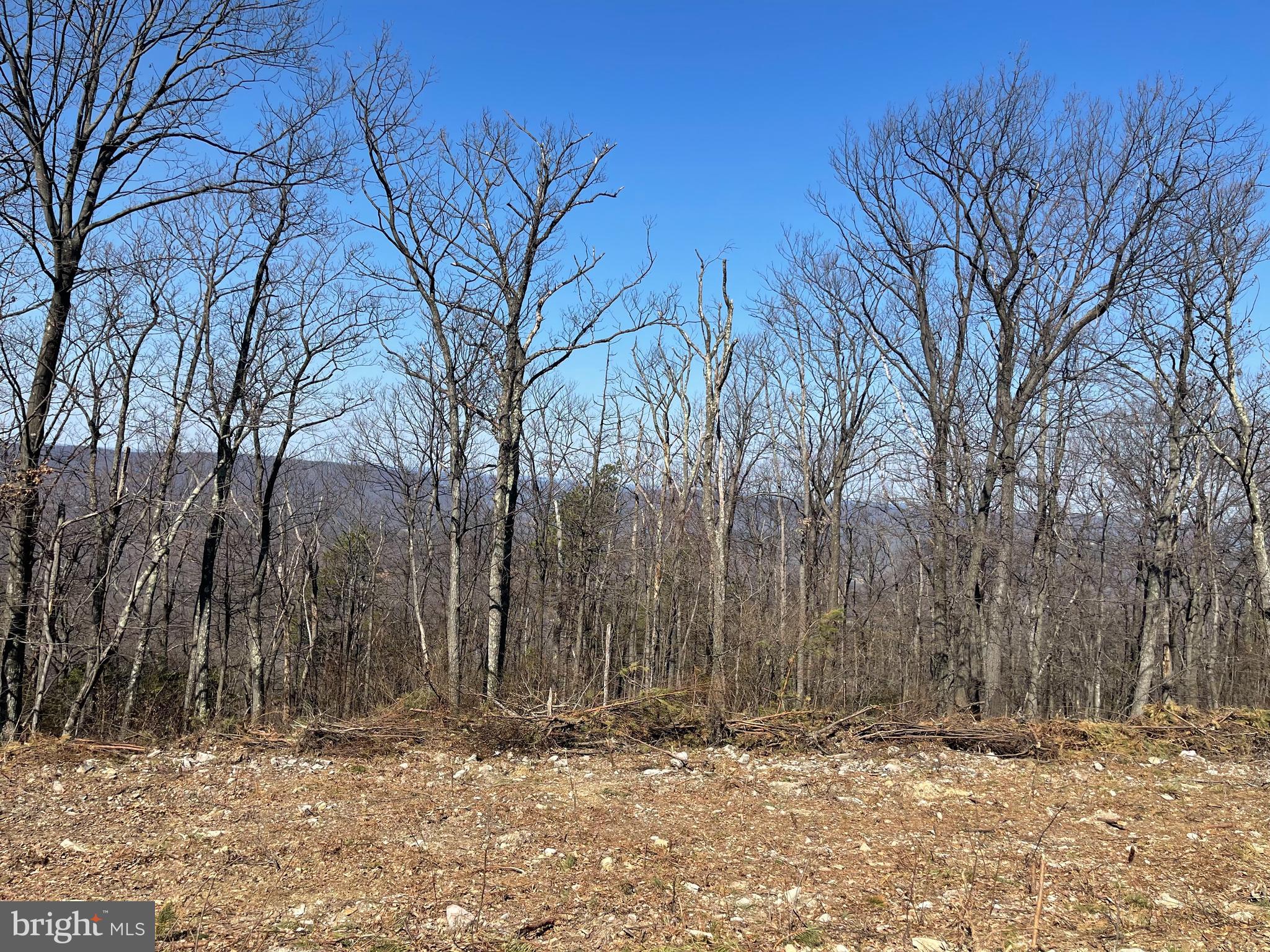 CACAPON MOUNTAIN RECREATIONAL AREA - Land