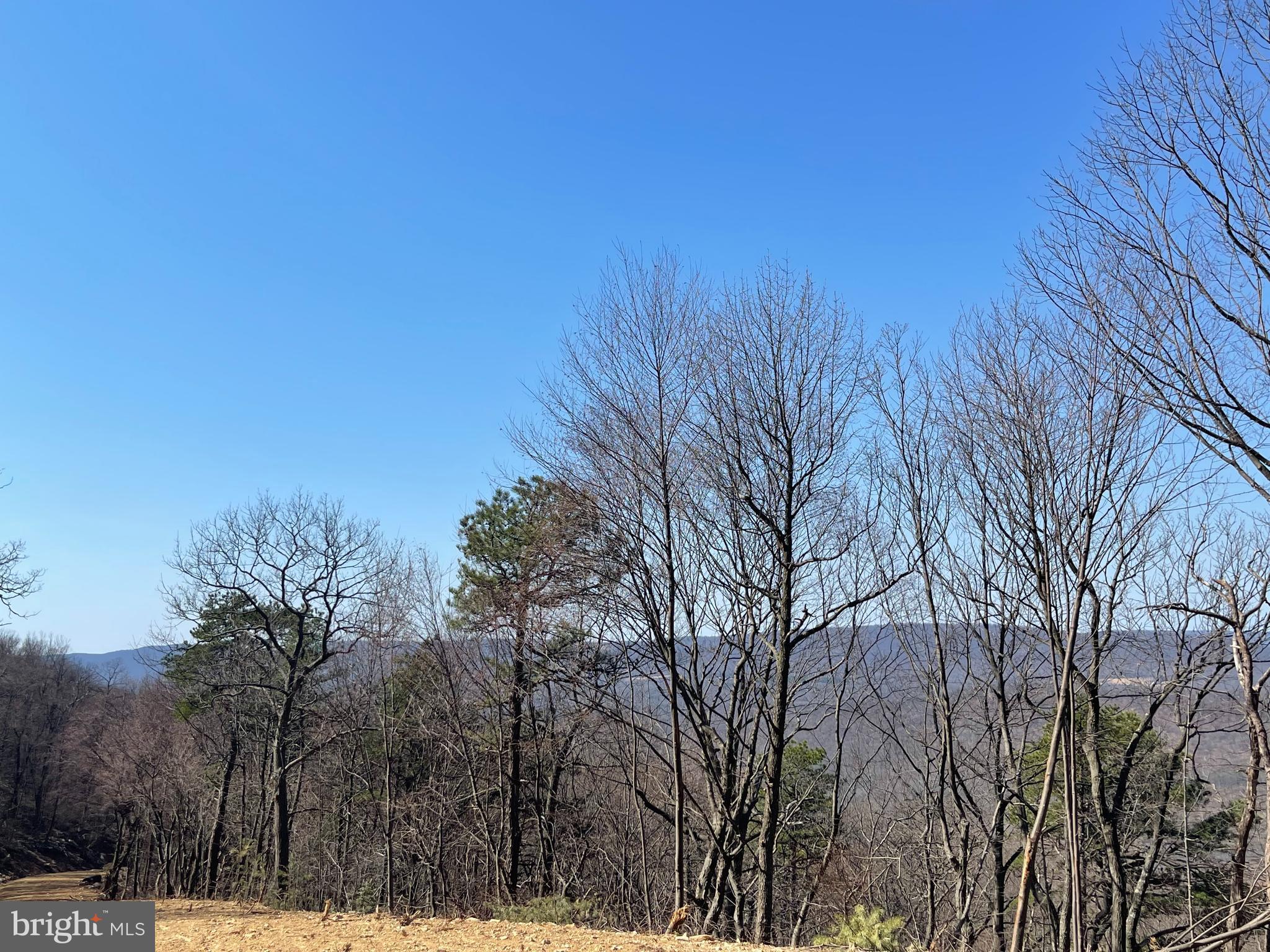 CACAPON MOUNTAIN RECREATIONAL AREA - Land