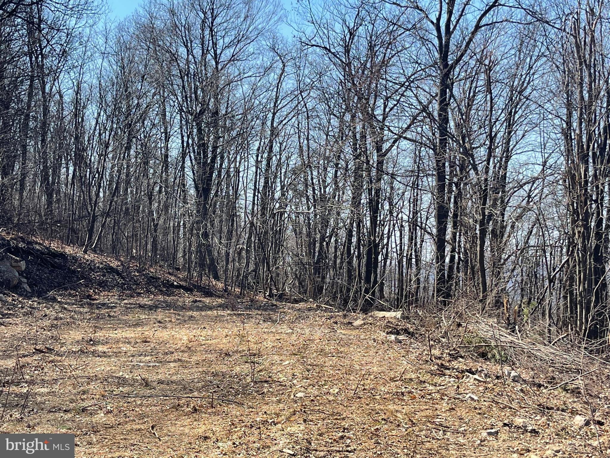 CACAPON MOUNTAIN RECREATIONAL AREA - Land