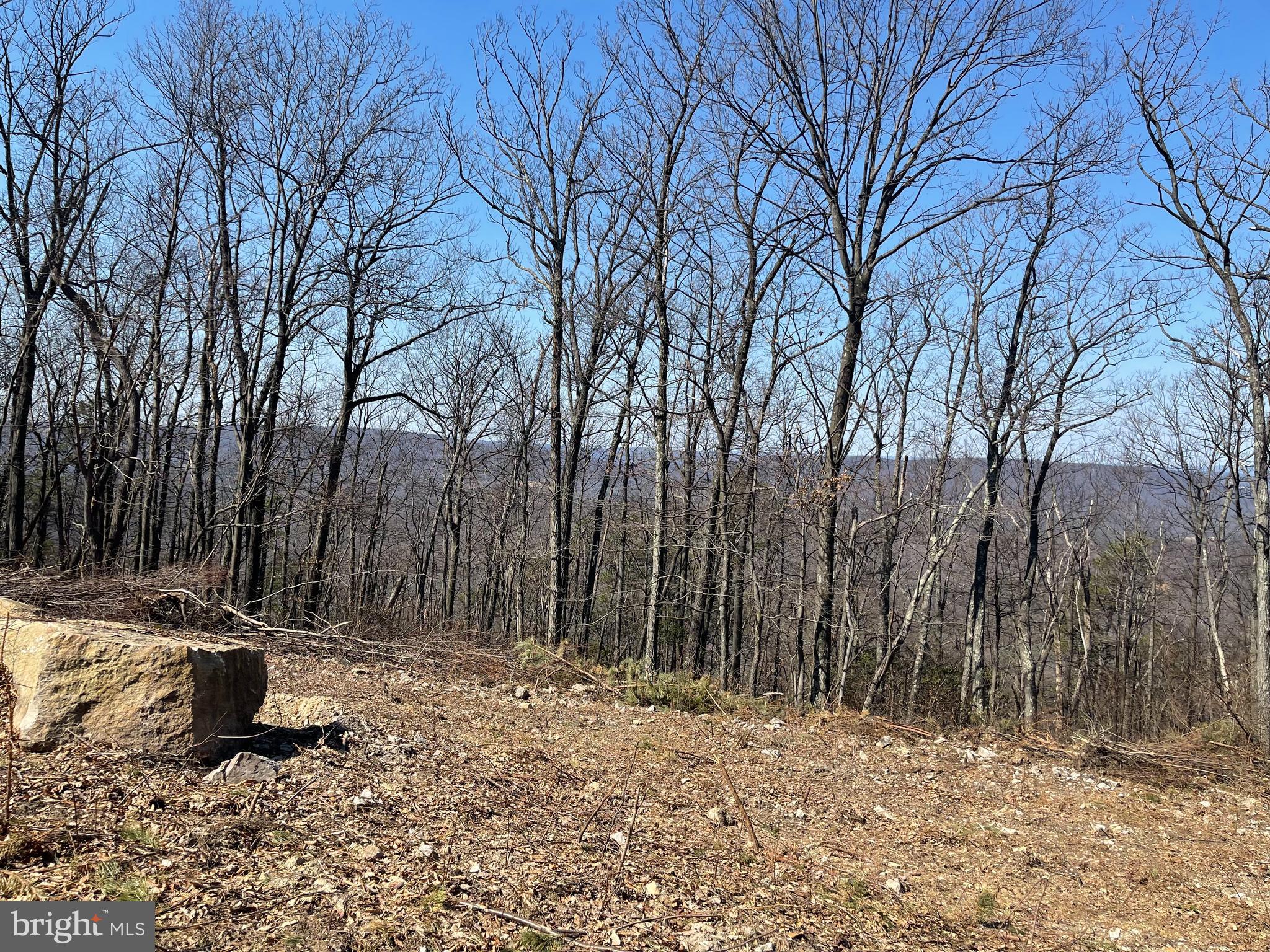 CACAPON MOUNTAIN RECREATIONAL AREA - Land