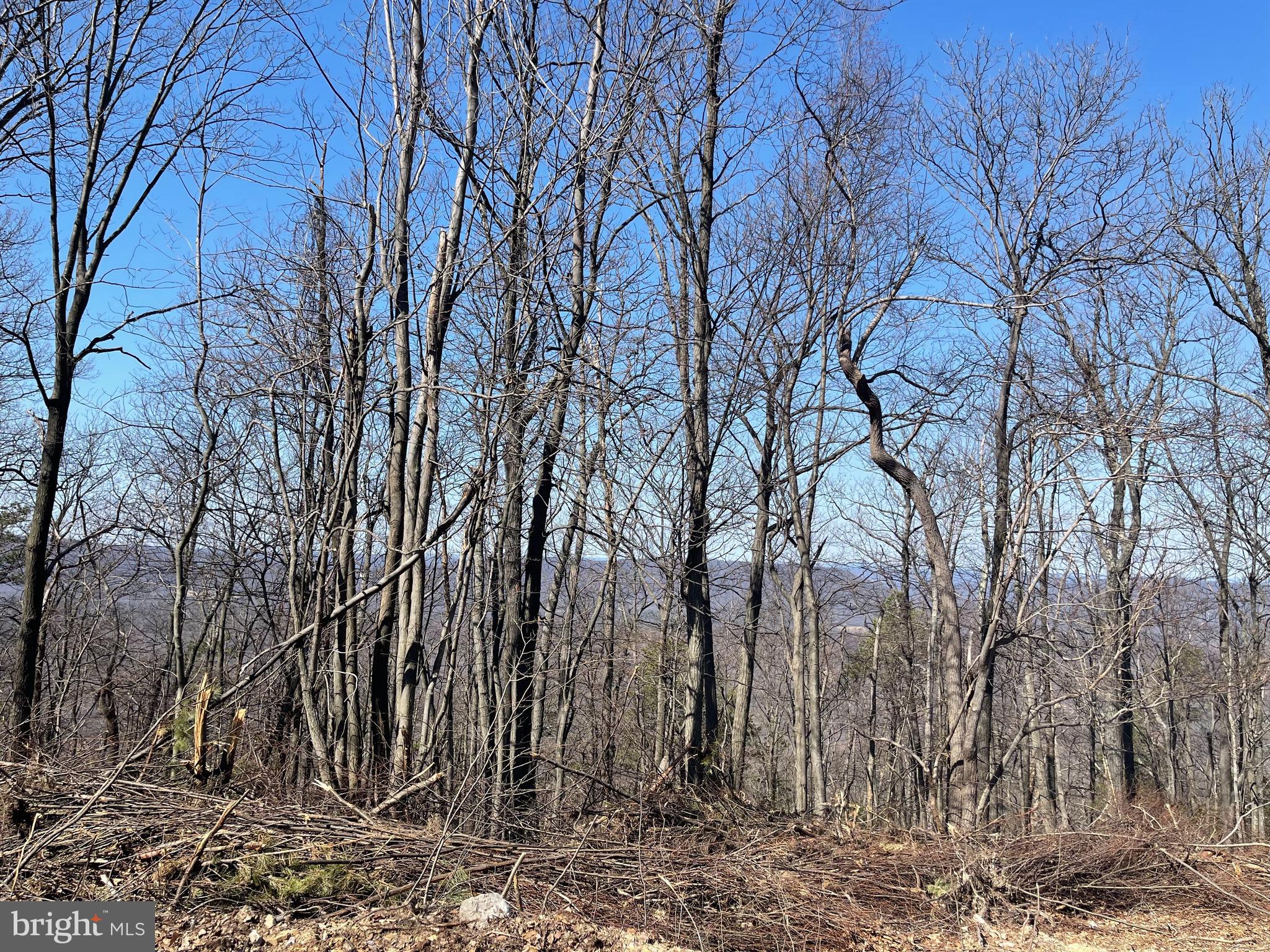 CACAPON MOUNTAIN RECREATIONAL AREA - Land