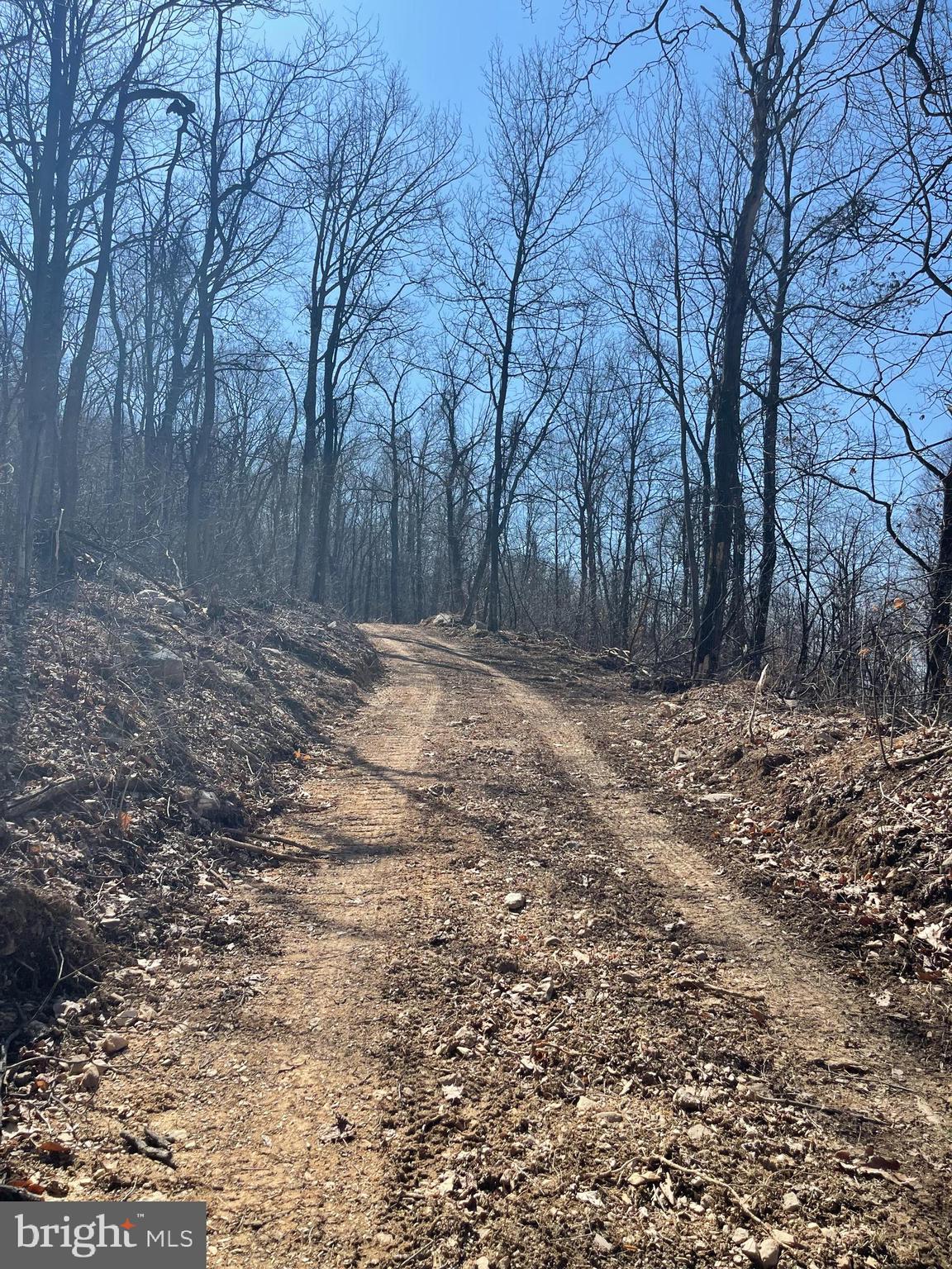 52+ acres located in Cacapon Mt. Recreation Area gated community. Panoramic views to the west and north into MD and PA w/property back boundary line boarding the Cacapon State Park on the east side. Cleared home site at 1650 ft altitude could reveal gorgeous distant mountain and valley views. Bring your dream mountain home blue prints and live off the grid. Hunters' paradise with abundant wildlife. Seclusion with mother nature. Priced at $234,900.