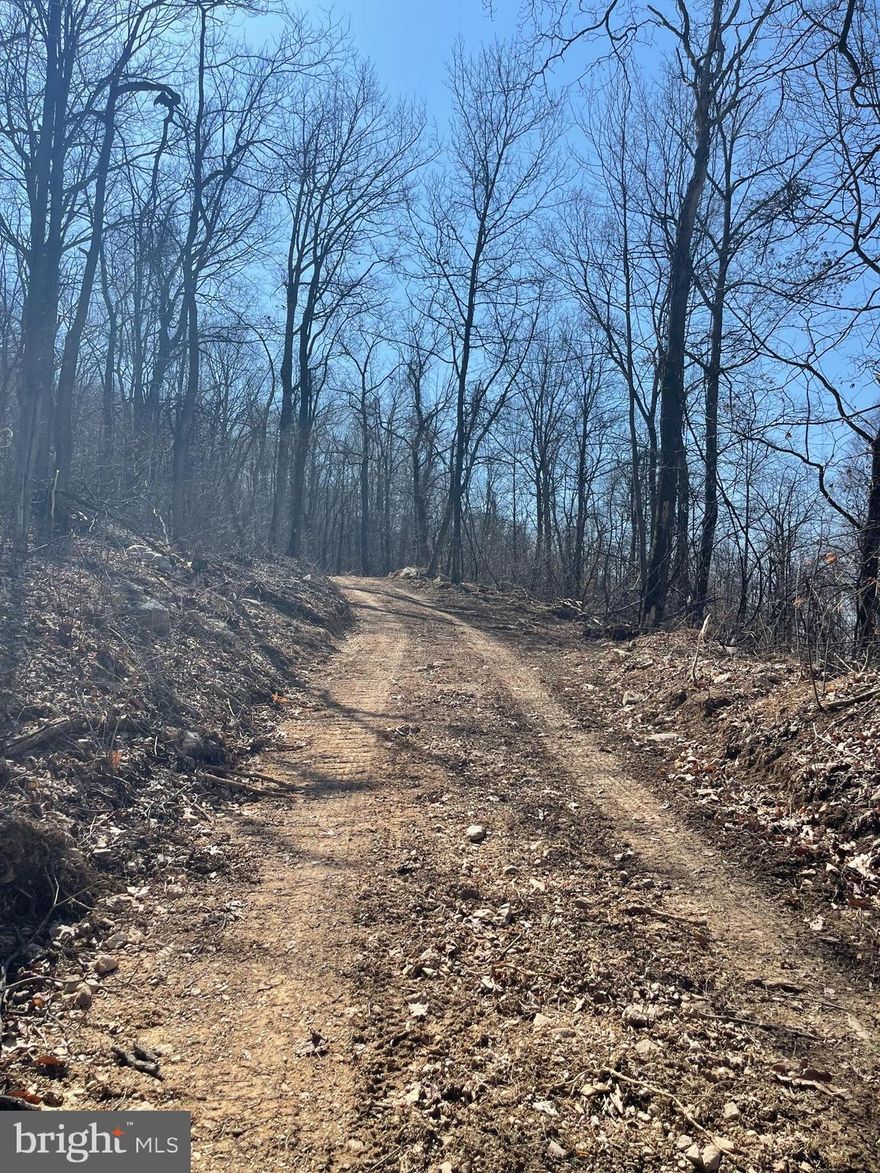 52+ acres  located in Cacapon Mt. Recreation Area gated community.  Panoramic views to the west and north into MD and PA w/property back boundary line boarding the Cacapon State Park on the east side.  Cleared home site at 1650 ft altitude could reveal gorgeous distant mountain and valley views. Bring your dream mountain home blue prints and live off the grid. Hunters' paradise with abundant wildlife. Seclusion with mother nature. Priced at $234,900.