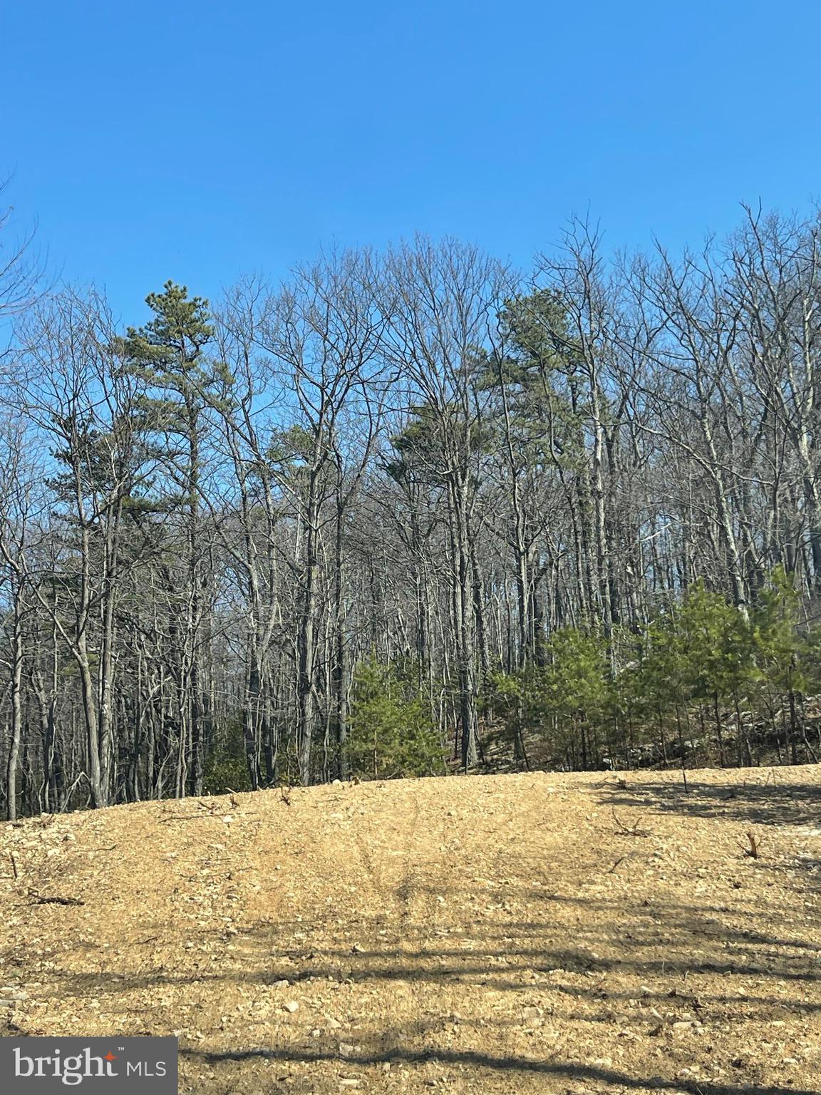 CACAPON MOUNTAIN RECREATIONAL AREA - Land