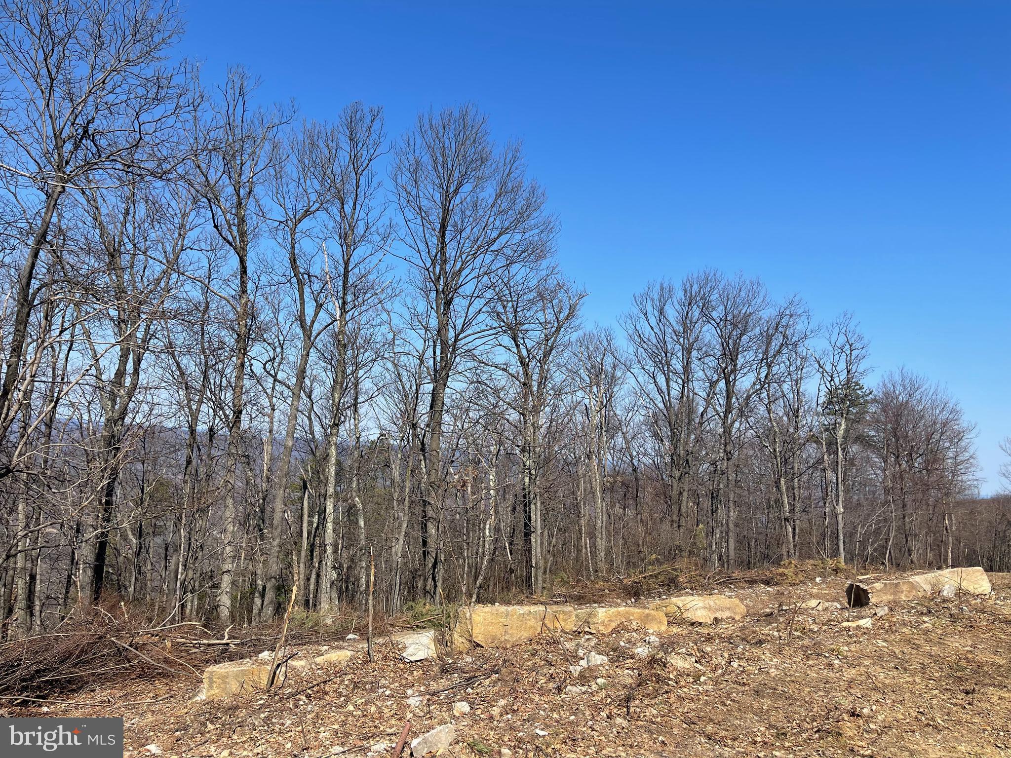 CACAPON MOUNTAIN RECREATIONAL AREA - Land