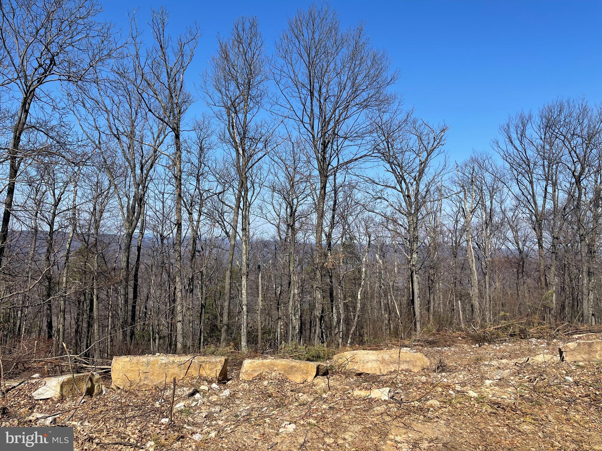 CACAPON MOUNTAIN RECREATIONAL AREA - Land