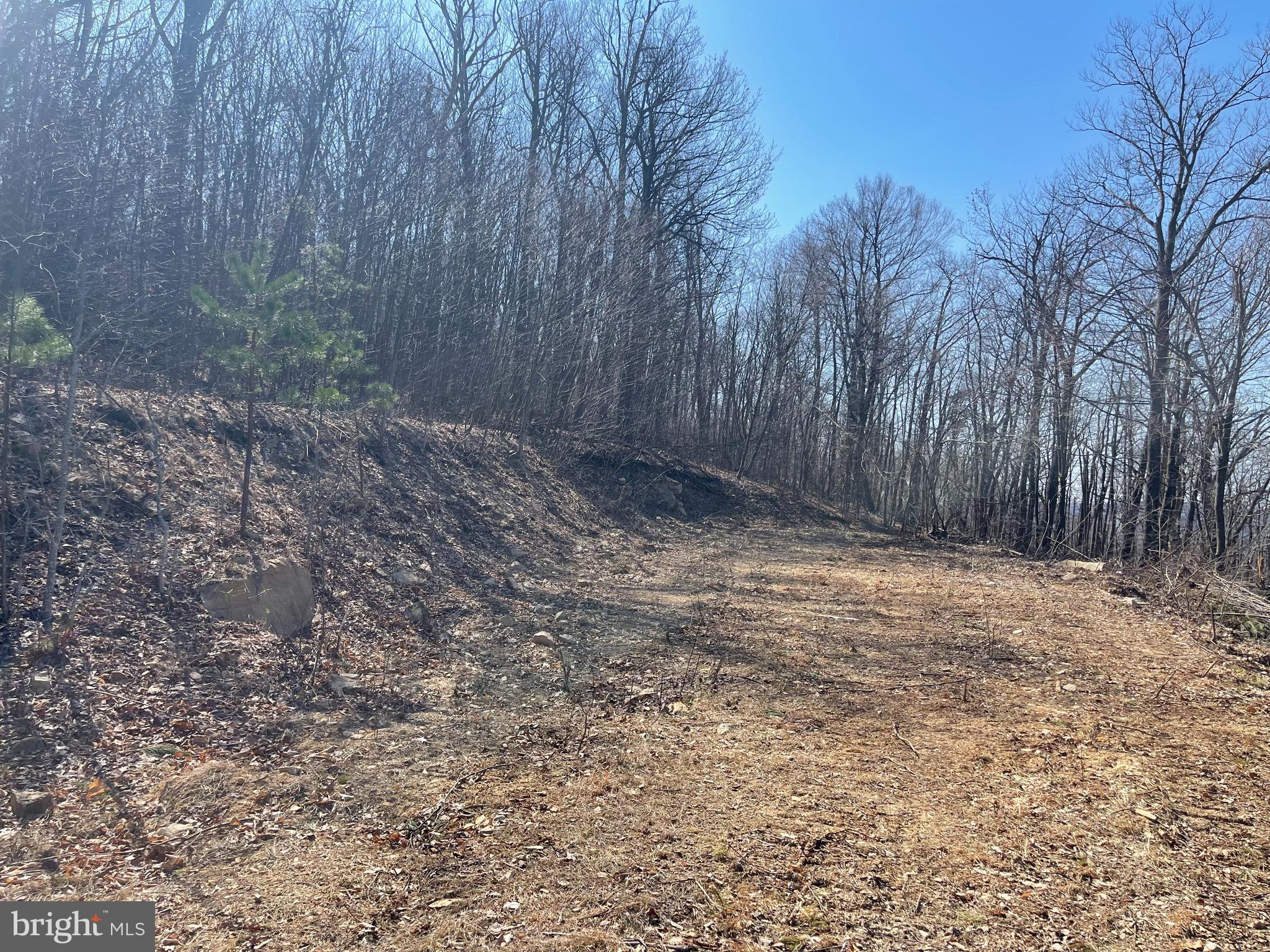 CACAPON MOUNTAIN RECREATIONAL AREA - Land