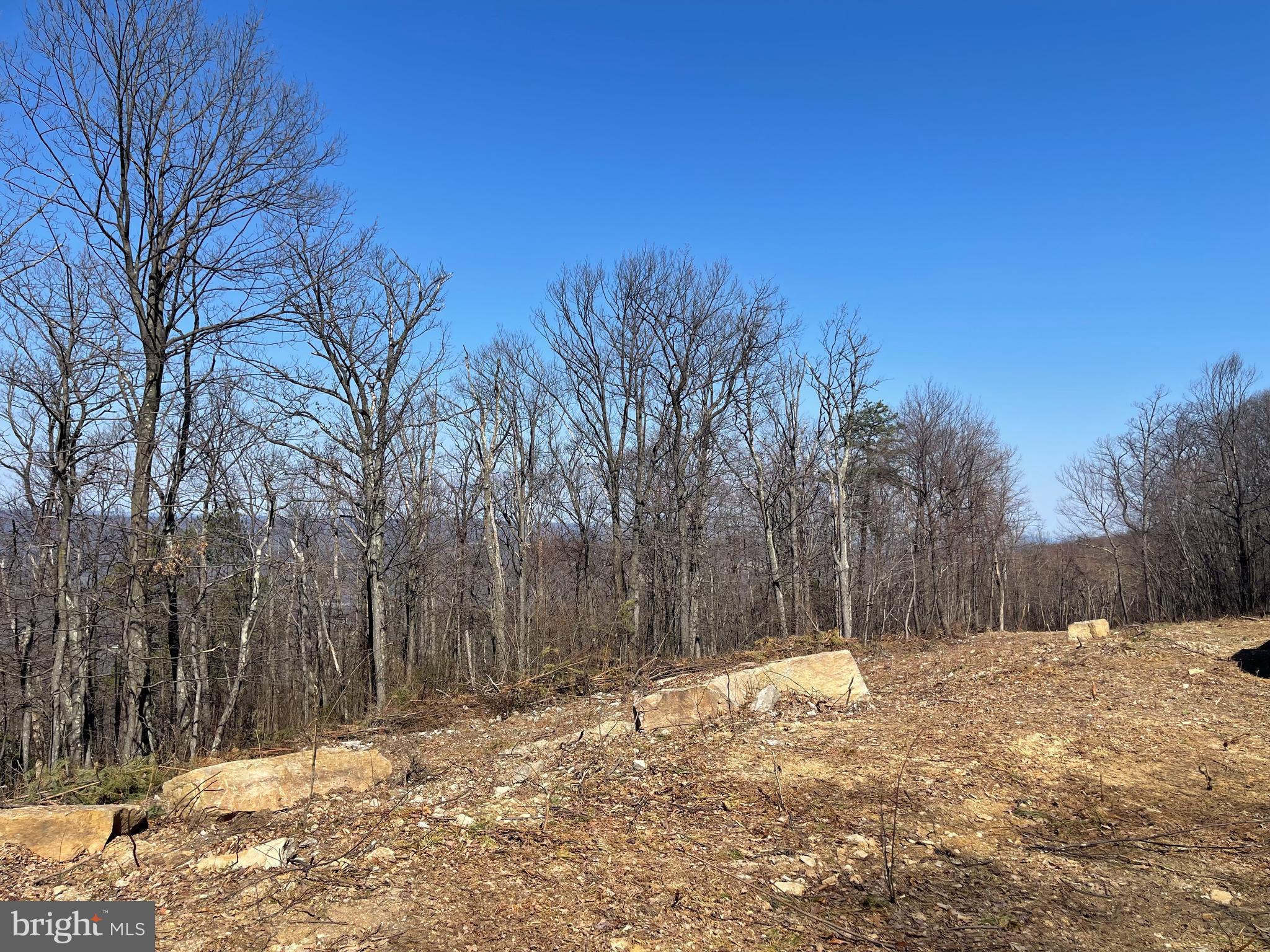 CACAPON MOUNTAIN RECREATIONAL AREA - Land